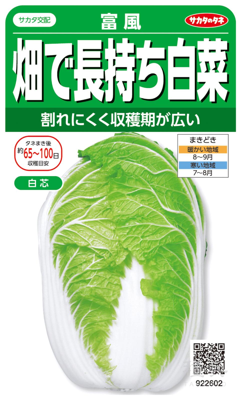 ハクサイ 種 『富風』  サカタのタネ