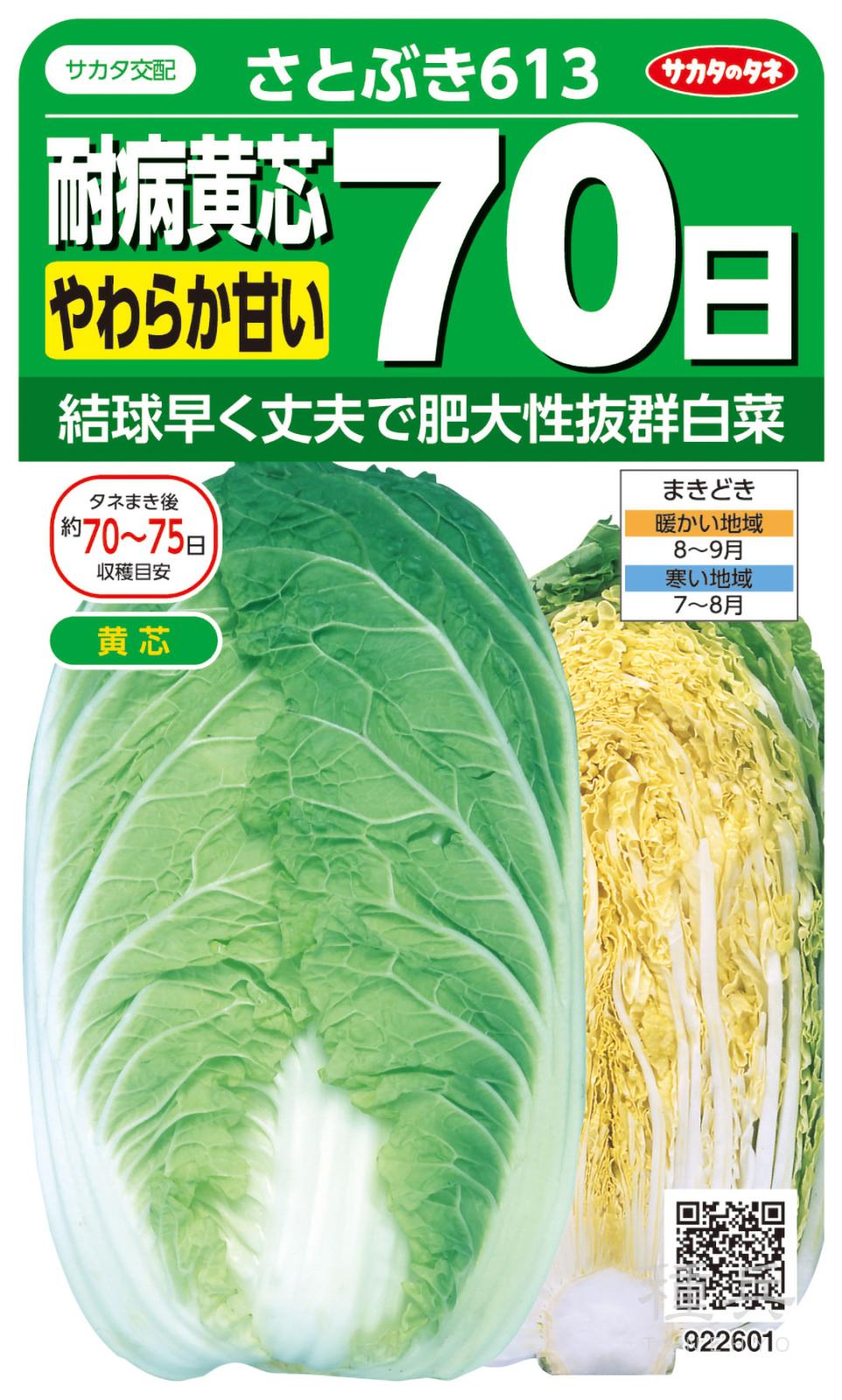 黄芯ハクサイ 種 『さとぶき613』  サカタのタネ