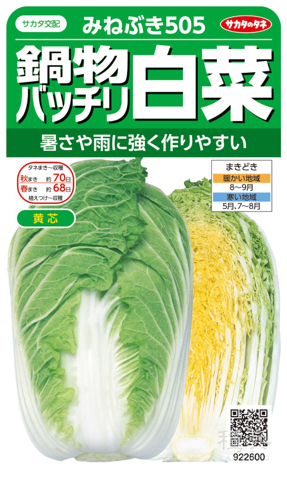 黄芯ハクサイ 種 『みねぶき505』  サカタのタネ