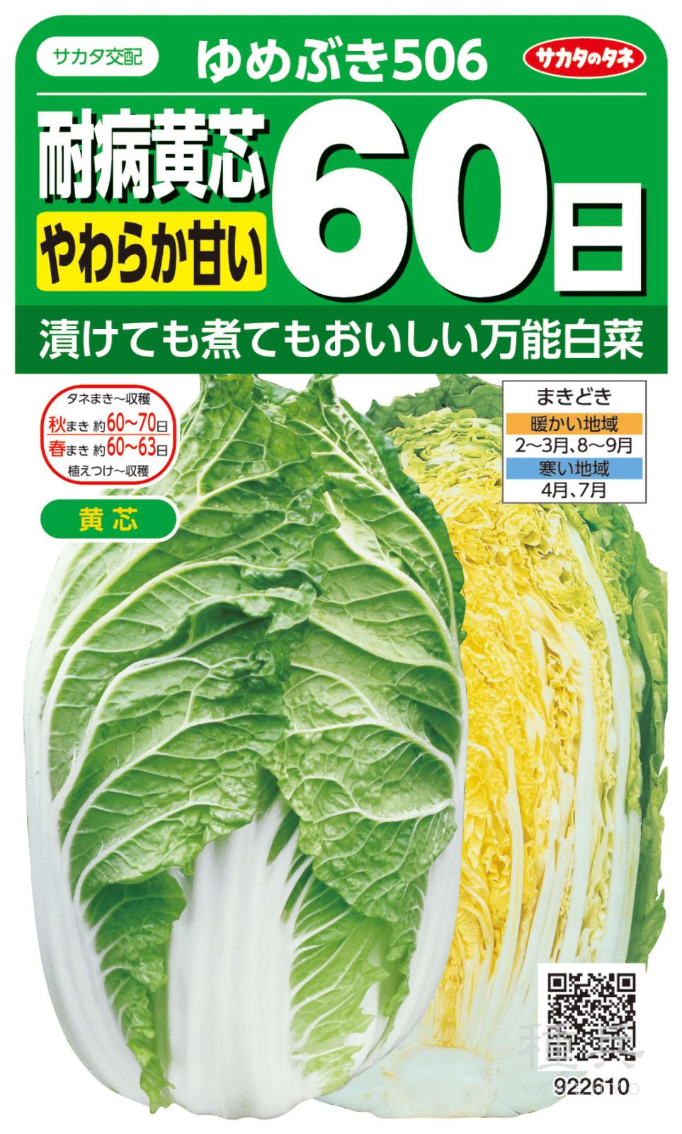 黄芯ハクサイ 種 『ゆめぶき506』  サカタのタネ