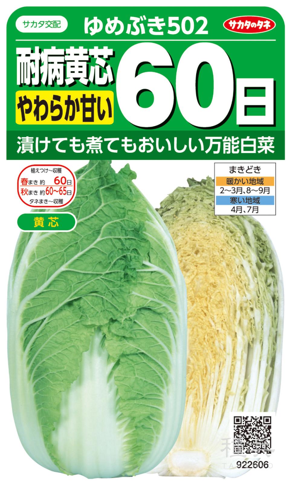 黄芯ハクサイ 種 『ゆめぶき502』  サカタのタネ