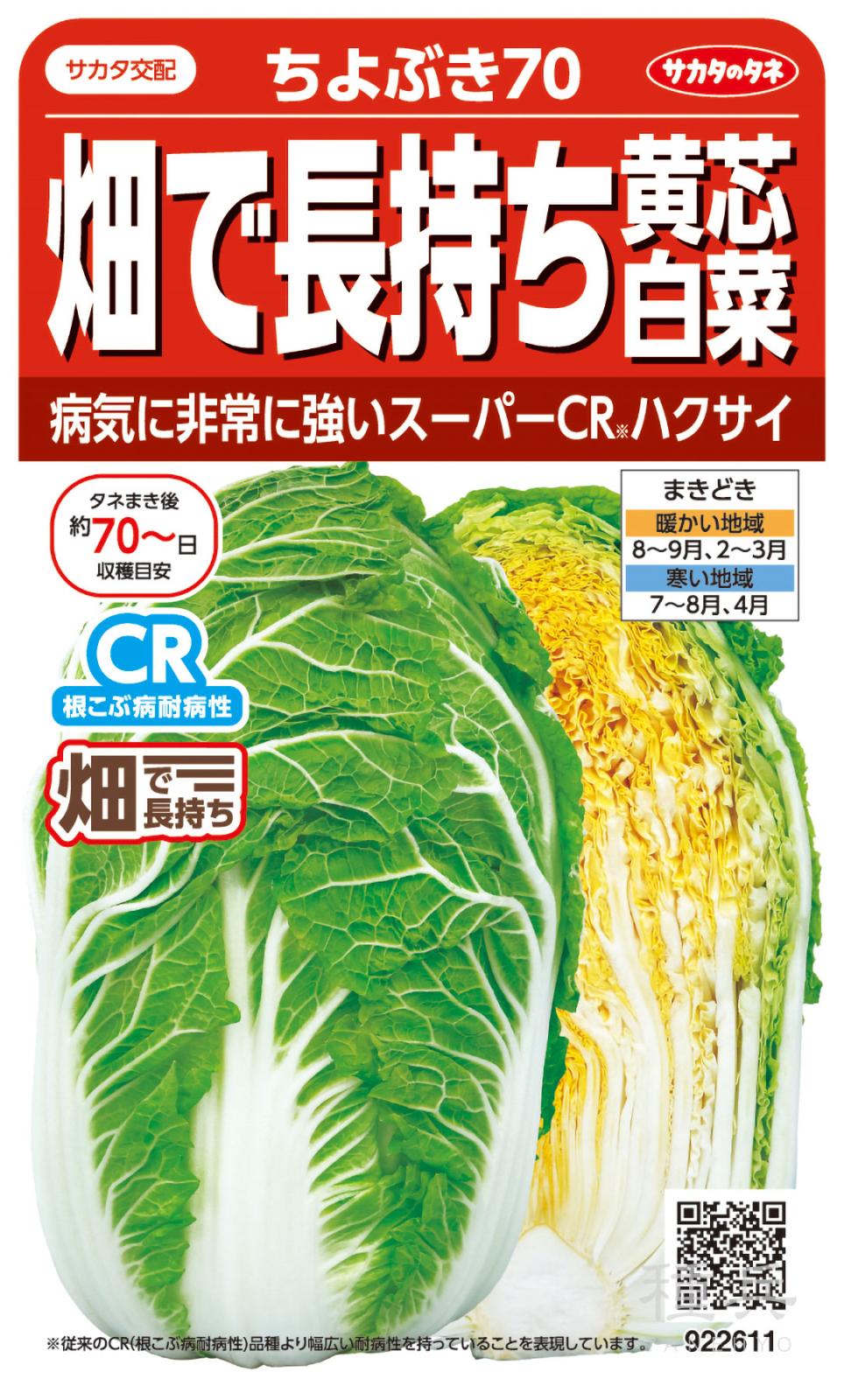 はちよん 黄芯ハクサイ 種 『ちよぶき70』 サカタのタネ | たね,葉菜の種