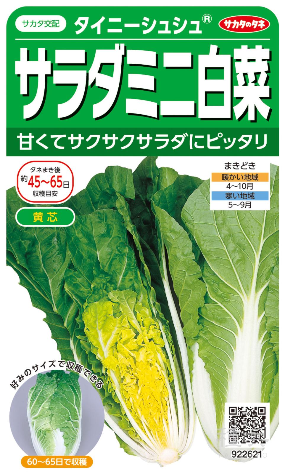 白菜　種 ミニハクサイ 種 『タイニーシュシュ』 サカタのタネ | たね,葉菜の種