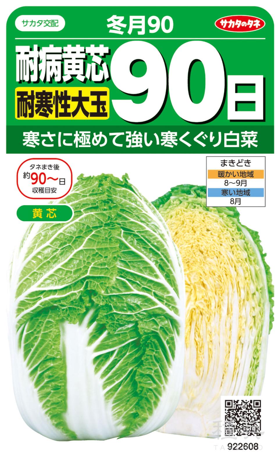 黄芯ハクサイ 種<br> 『きらぼし90』 AHA04P タキイ種苗/20ml 黄芯ハクサイ 種\u003cbr\u003e 『きらぼし90』 AHA04P タキイ種苗⁄20ml