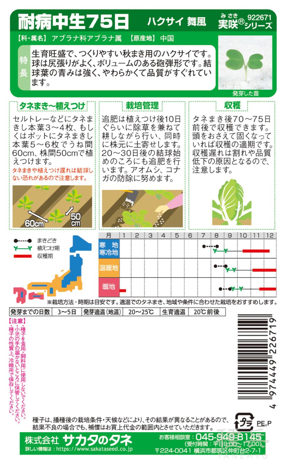 ハクサイ 種 『耐病早生75日 「舞風」』 サカタのタネ | たね,葉菜の種