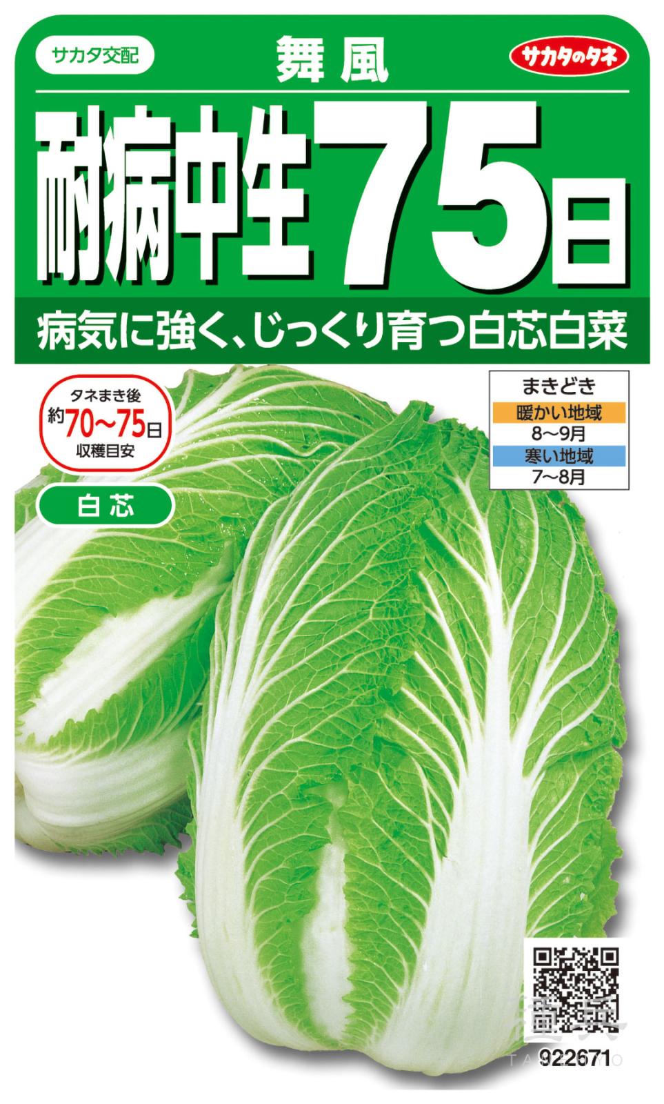 ハクサイ 種 『耐病早生75日 「舞風」』 サカタのタネ | たね,葉菜の種