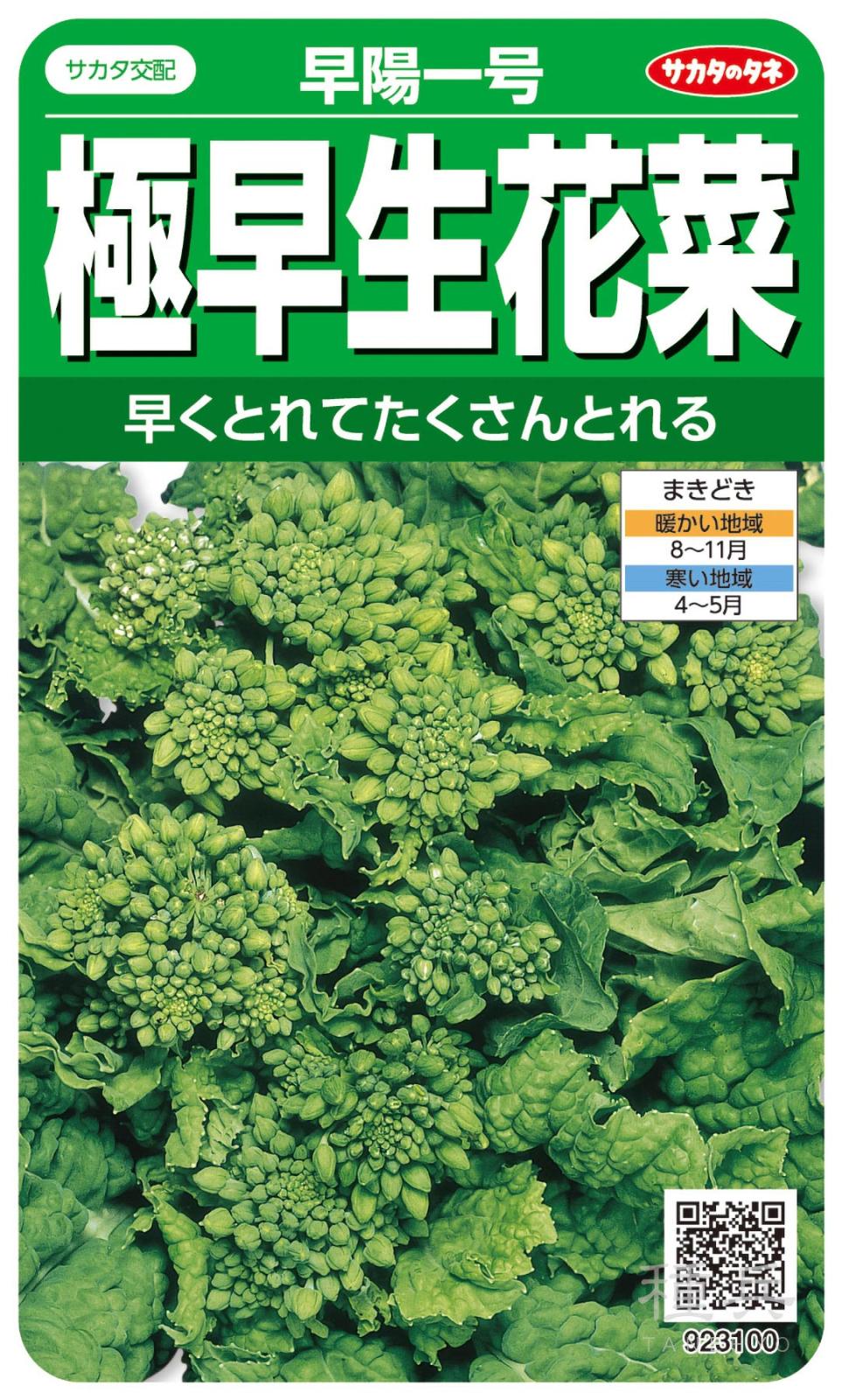 ハナナ 種 『早陽1号』  サカタのタネ
