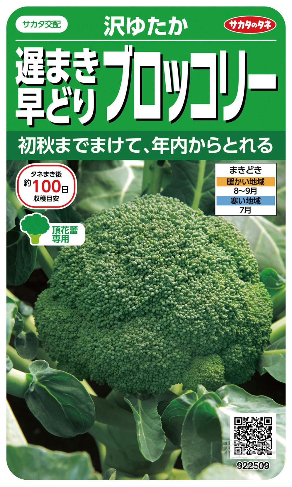 ブロッコリー 種 『沢ゆたか』  サカタのタネ