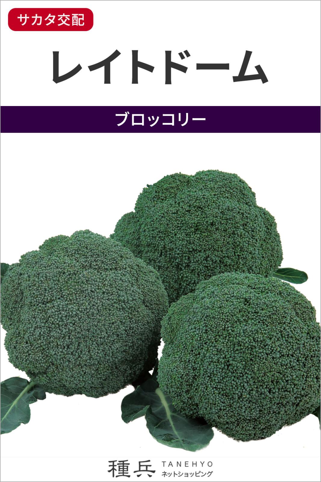ブロッコリー 種 『レイトドーム』 サカタのタネ