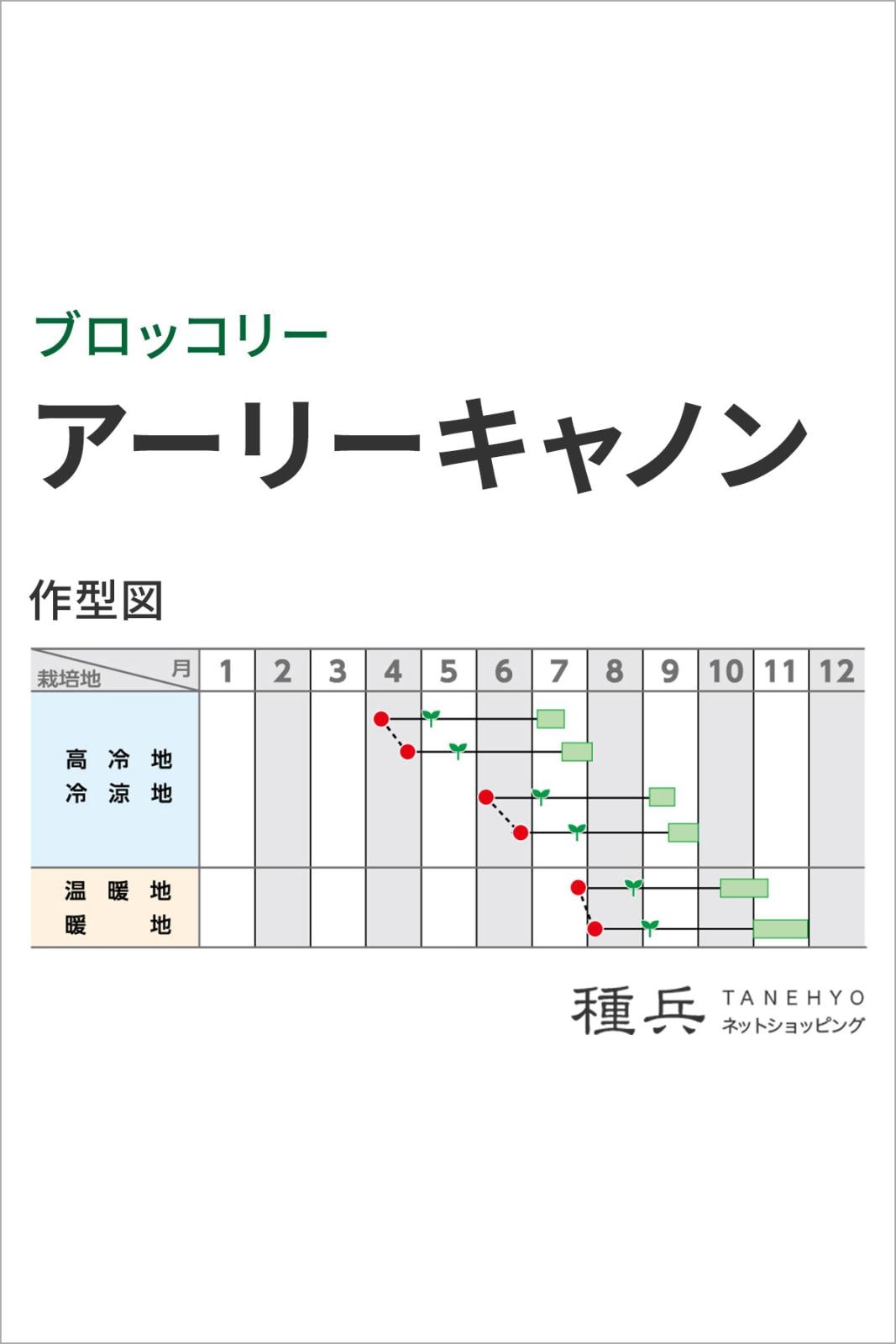 ブロッコリー 種 『アーリーキャノン』 サカタのタネ | たね,葉菜の種