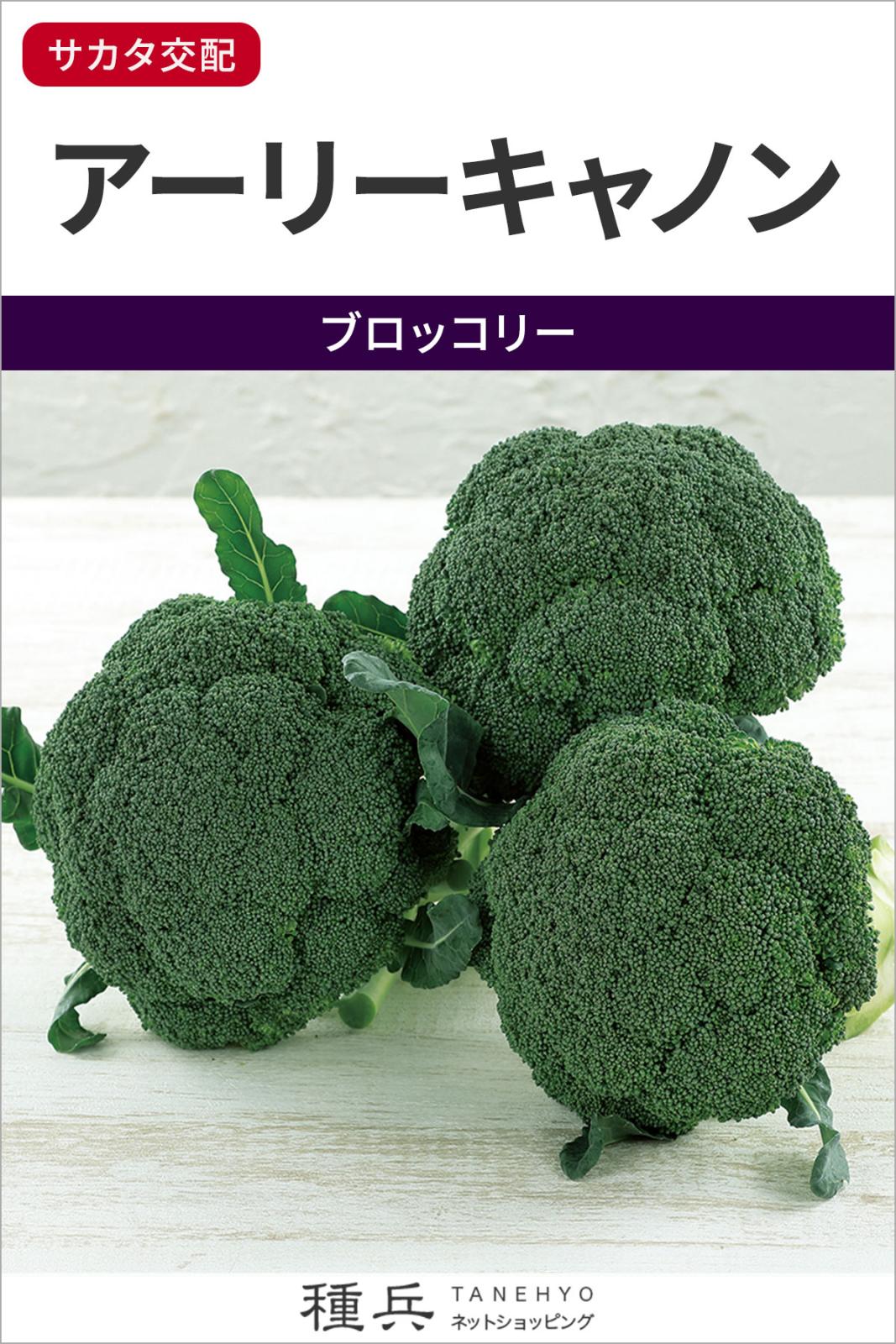 ブロッコリー 種 『アーリーキャノン』 サカタのタネ | たね,葉菜の種