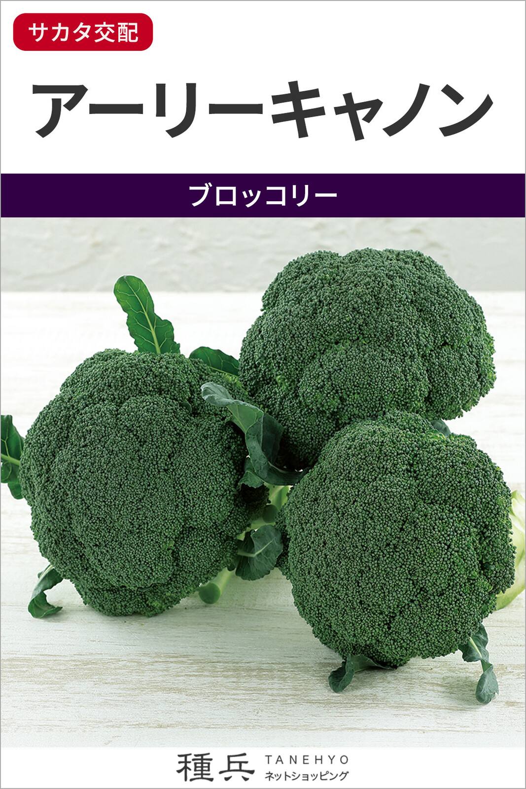 ブロッコリー 種 『アーリーキャノン』 サカタのタネ | たね,葉