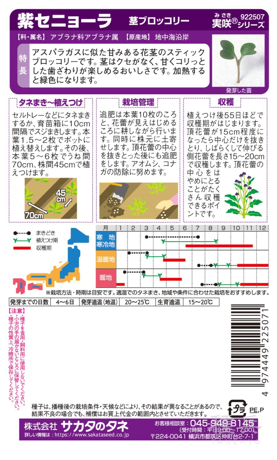 茎ブロッコリー 種 『紫セニョーラ』 サカタのタネ | たね,葉菜の種