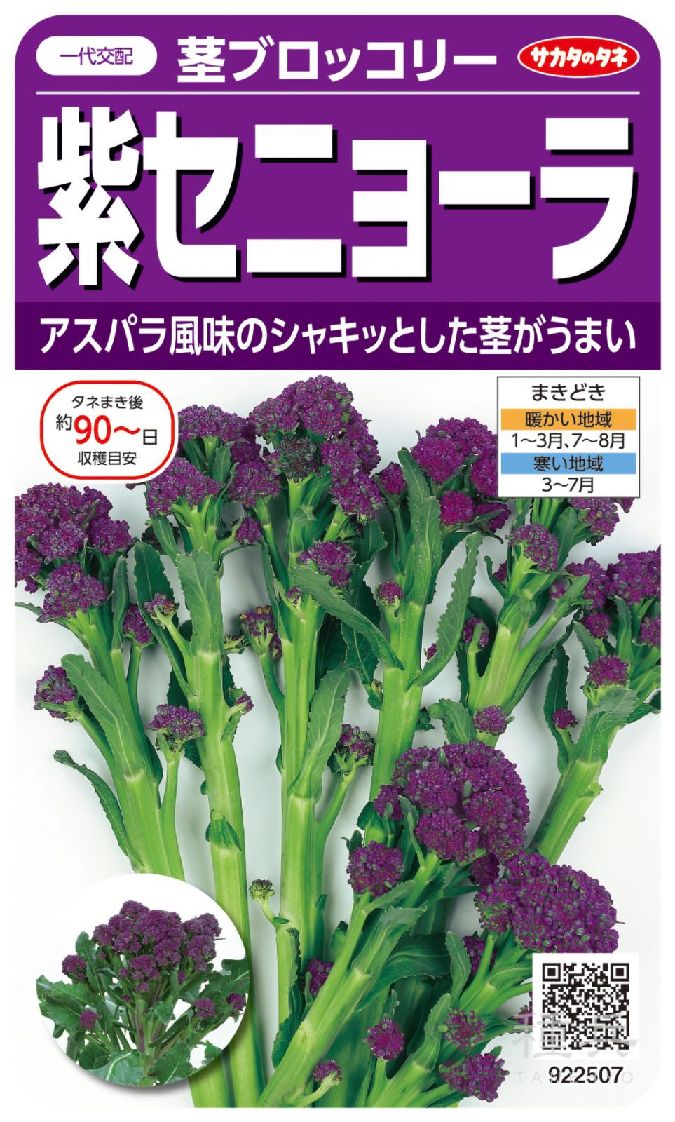 茎ブロッコリー 種 『紫セニョーラ』  サカタのタネ