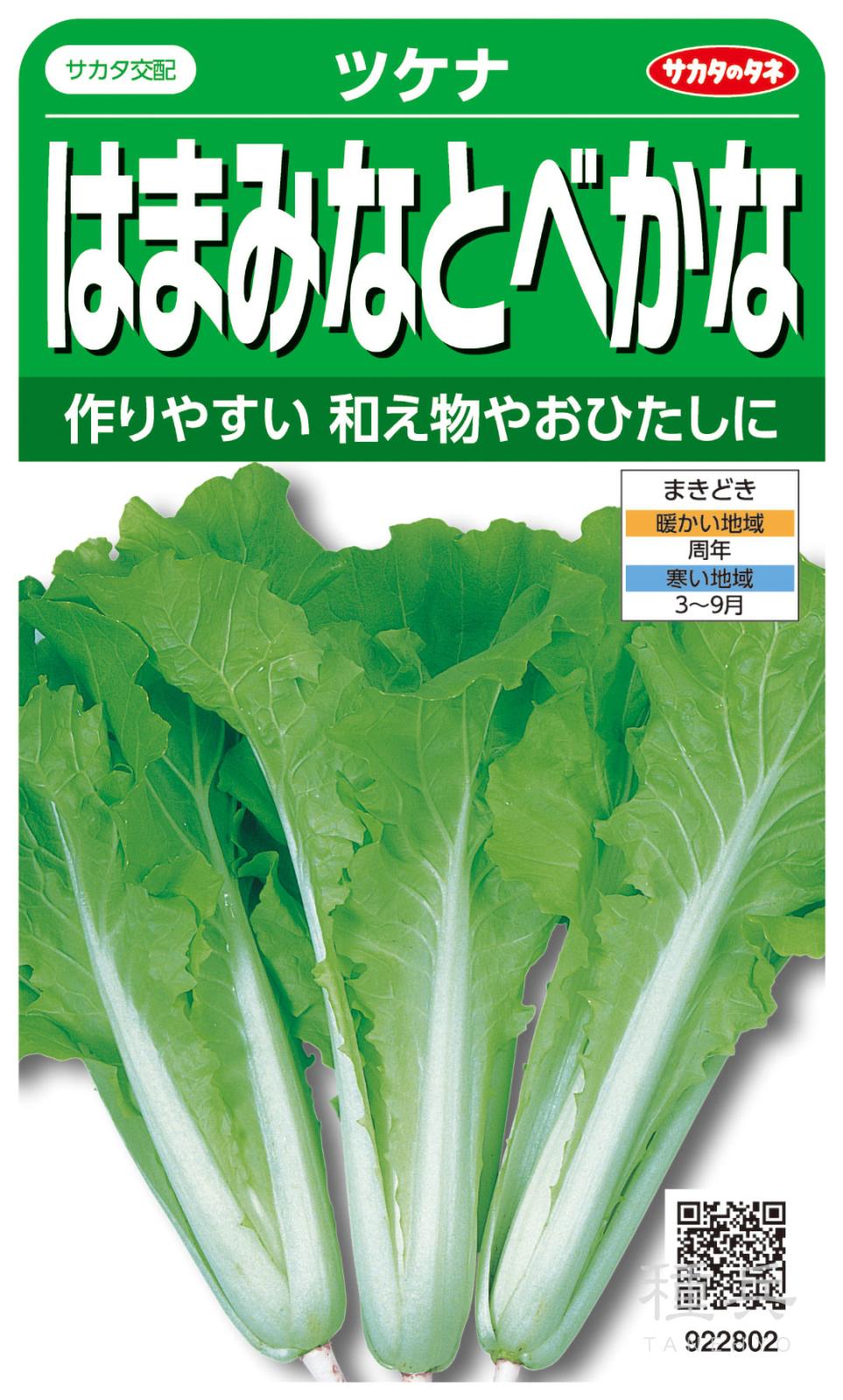 ベカナ 種 『はまみなとべかな』  サカタのタネ