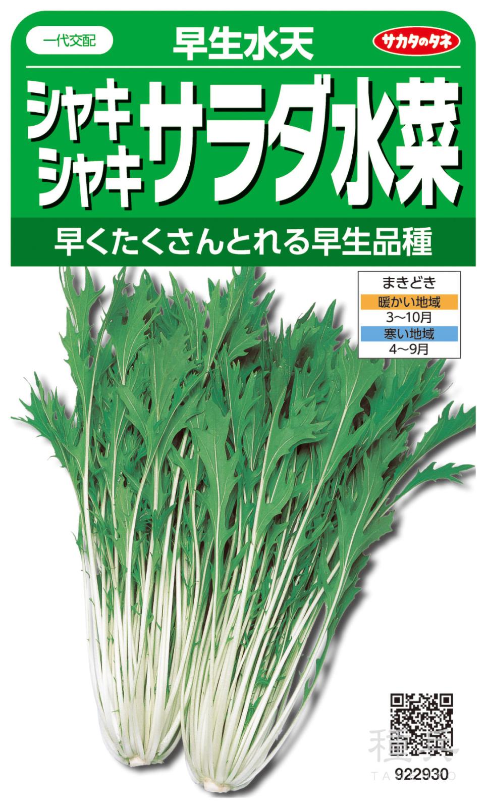 ミズナ 種 『早生水天』  サカタのタネ