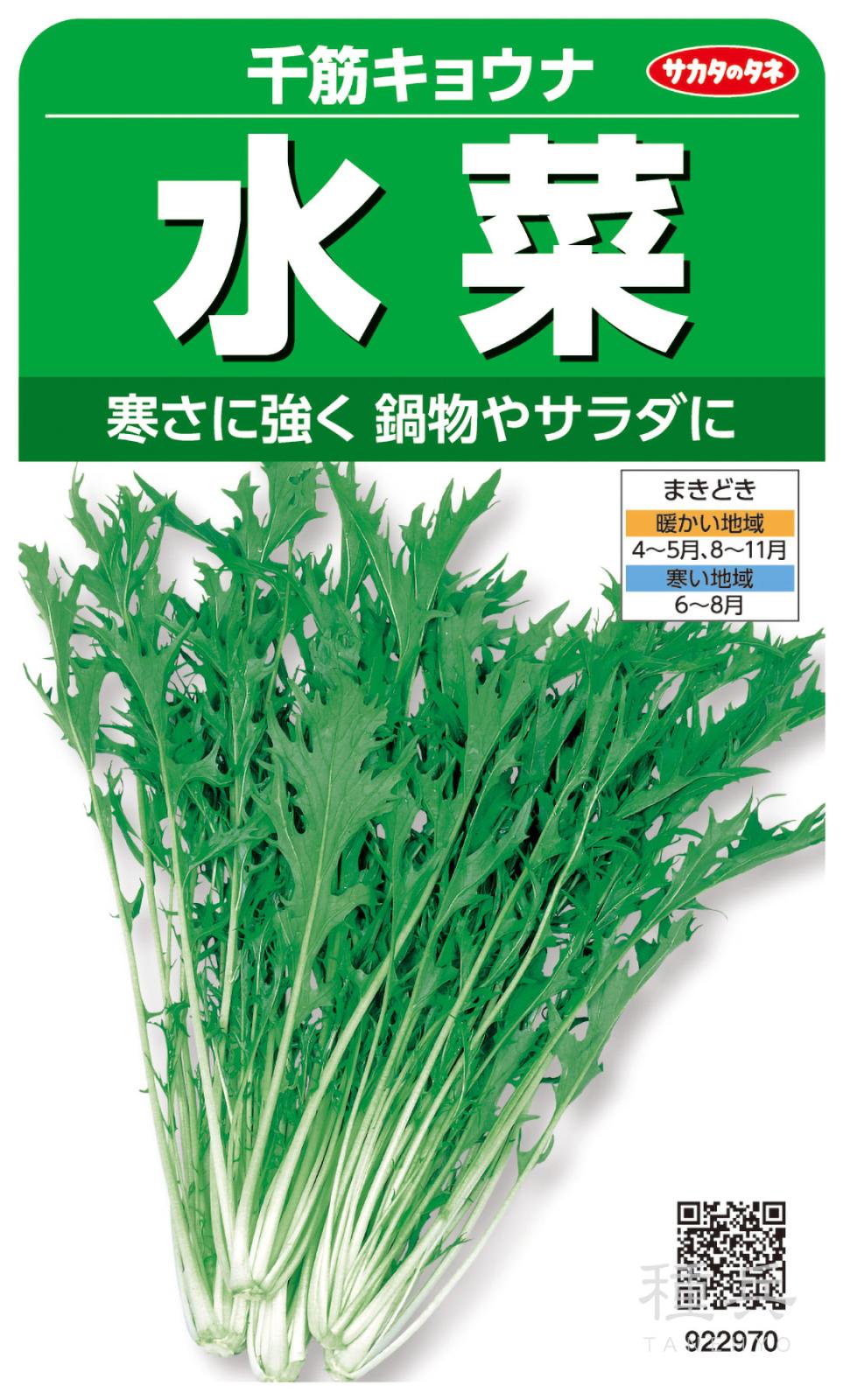 ミズナ 種 『千筋キョウナ』  サカタのタネ