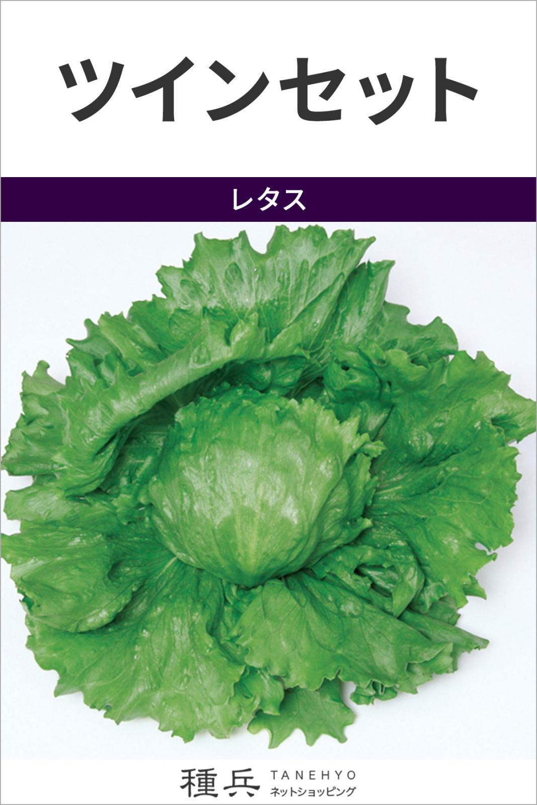 レタス 種 『ツインセット』  サカタのタネ