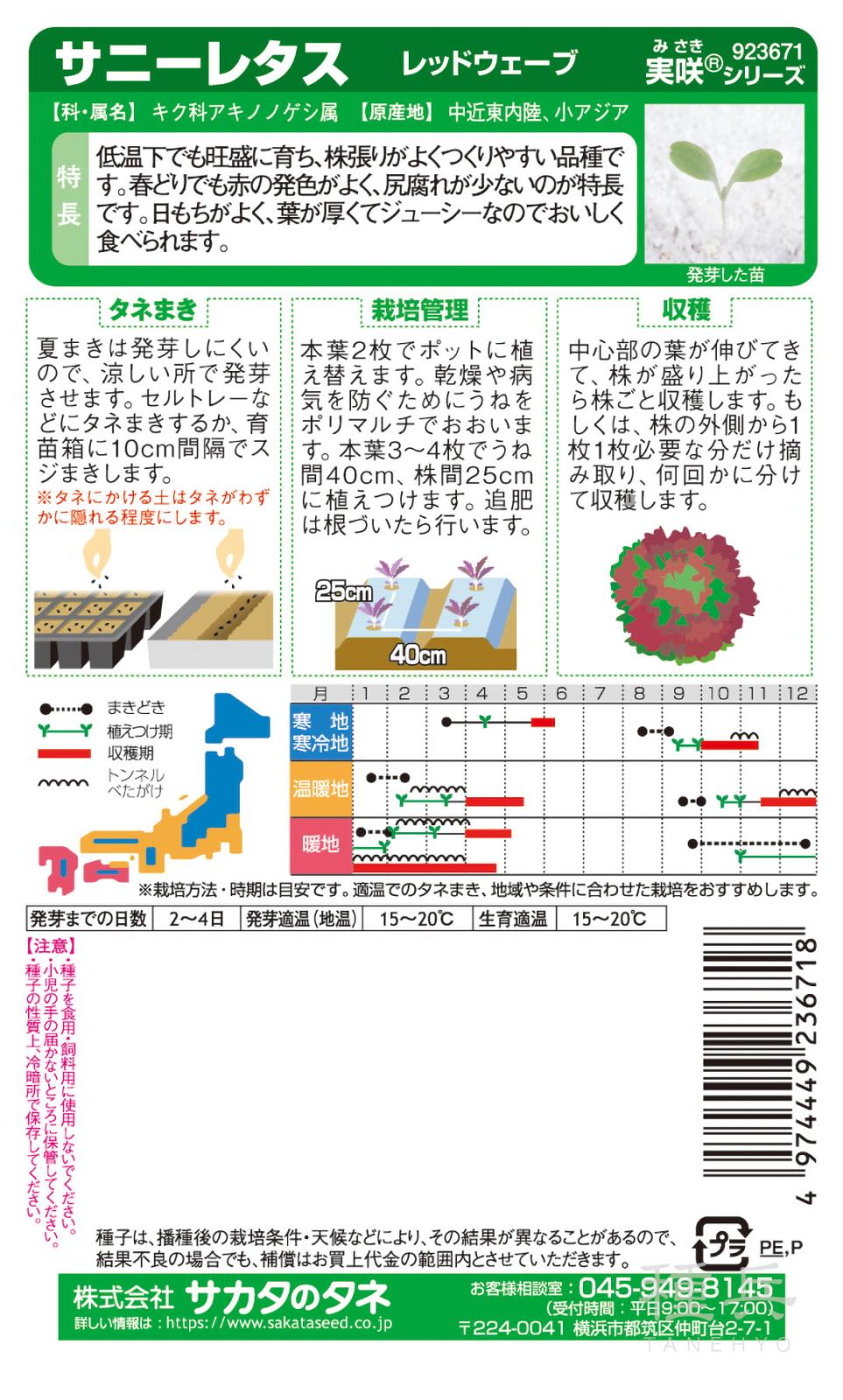リーフレタス 種 『レッドウェーブ』 サカタのタネ | たね,葉菜の種