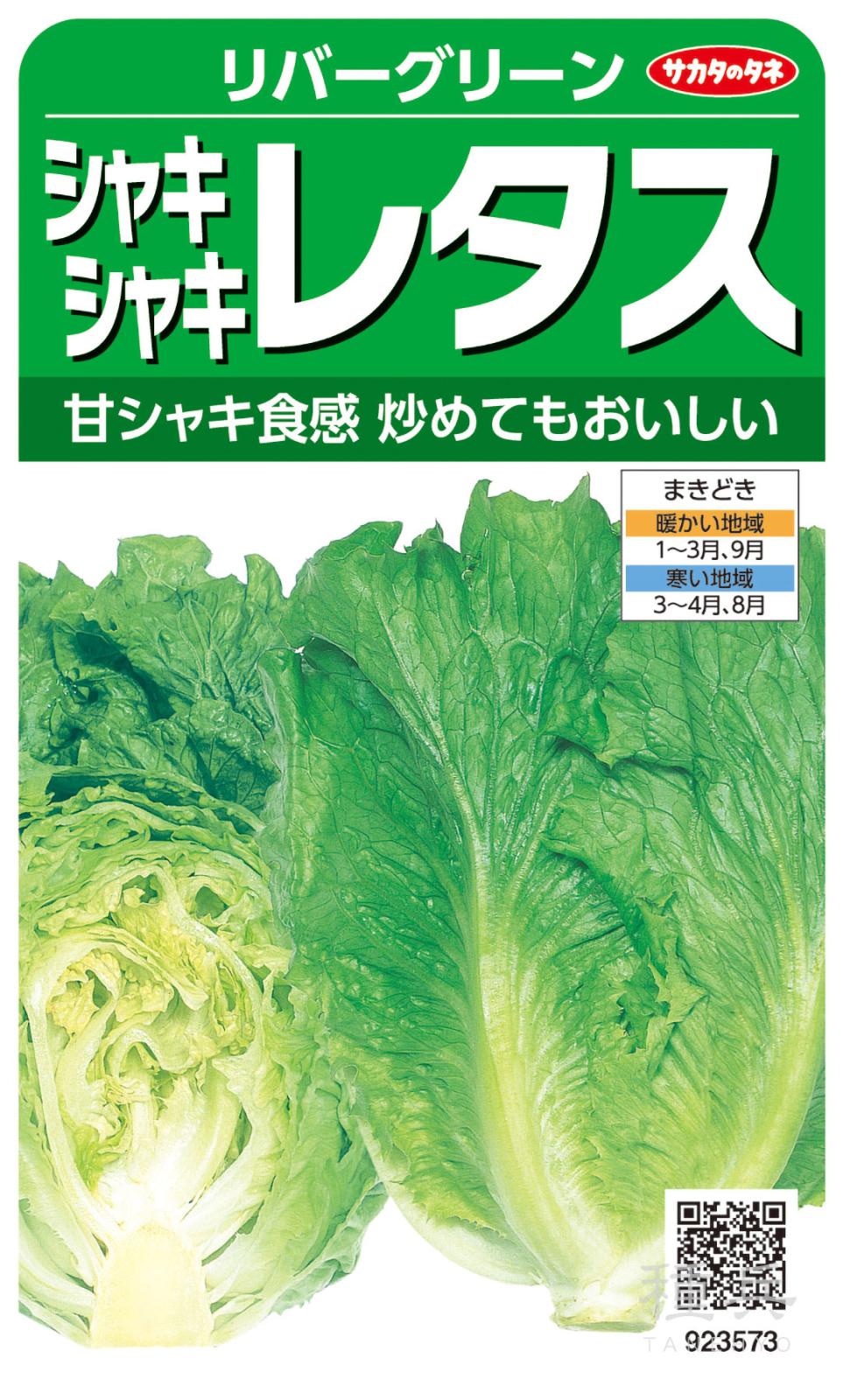 レタス 種 『リバーグリーン』 サカタのタネ | たね,葉菜の種,レタス