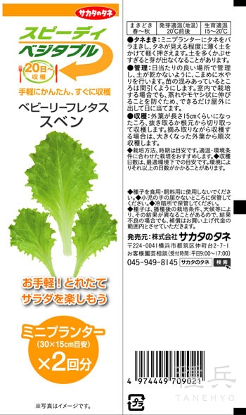 ベビーレタス 種 『ベビーリーフレタス　スベン（スピーディベジタブル）』  サカタのタネ