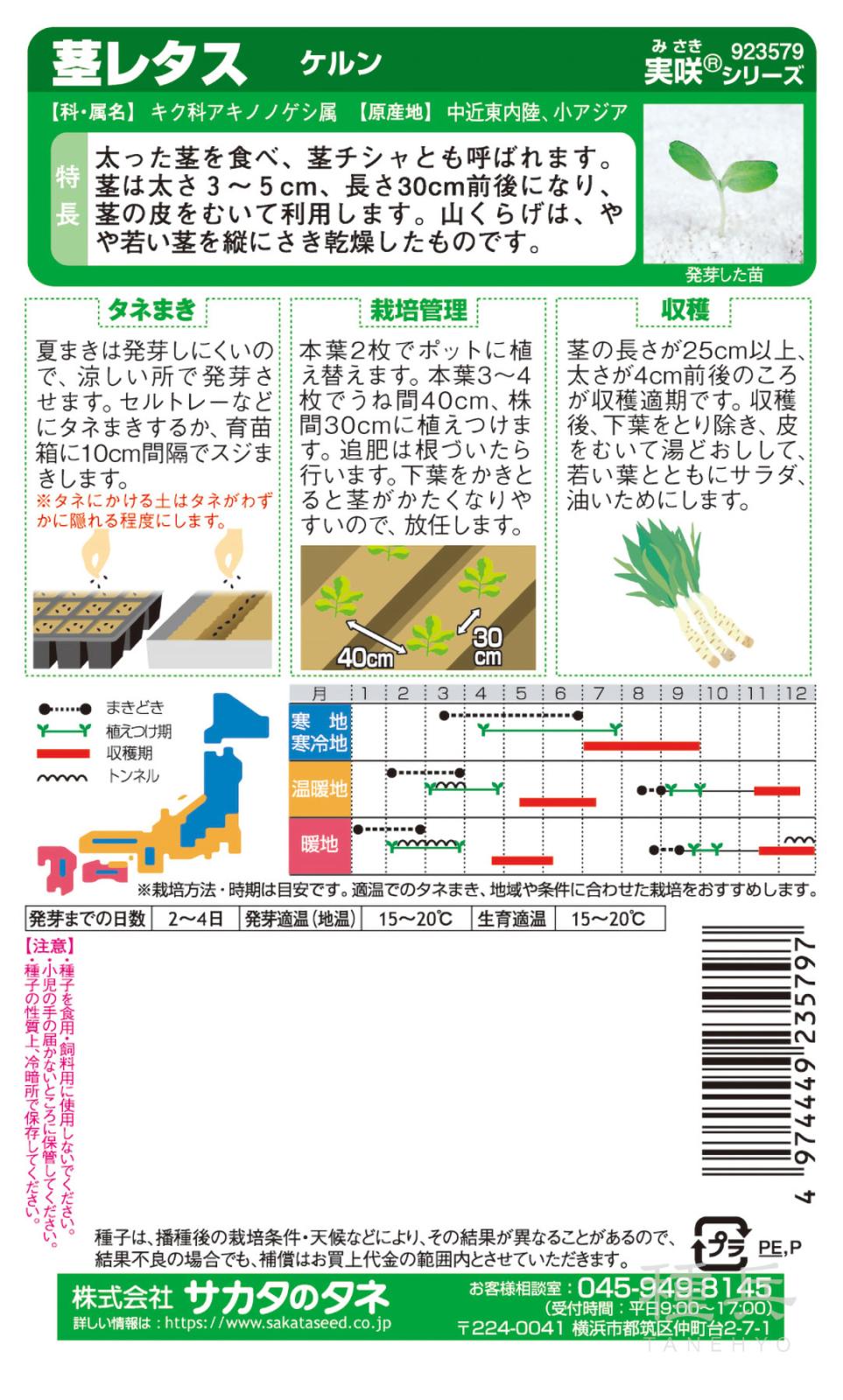 山クラゲ 種 『ケルン（茎レタス）』 サカタのタネ | たね,葉菜の種