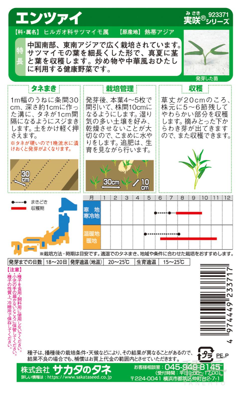 エンツァイ（空心菜） 種 『エンツァイ』 サカタのタネ | たね,葉菜の