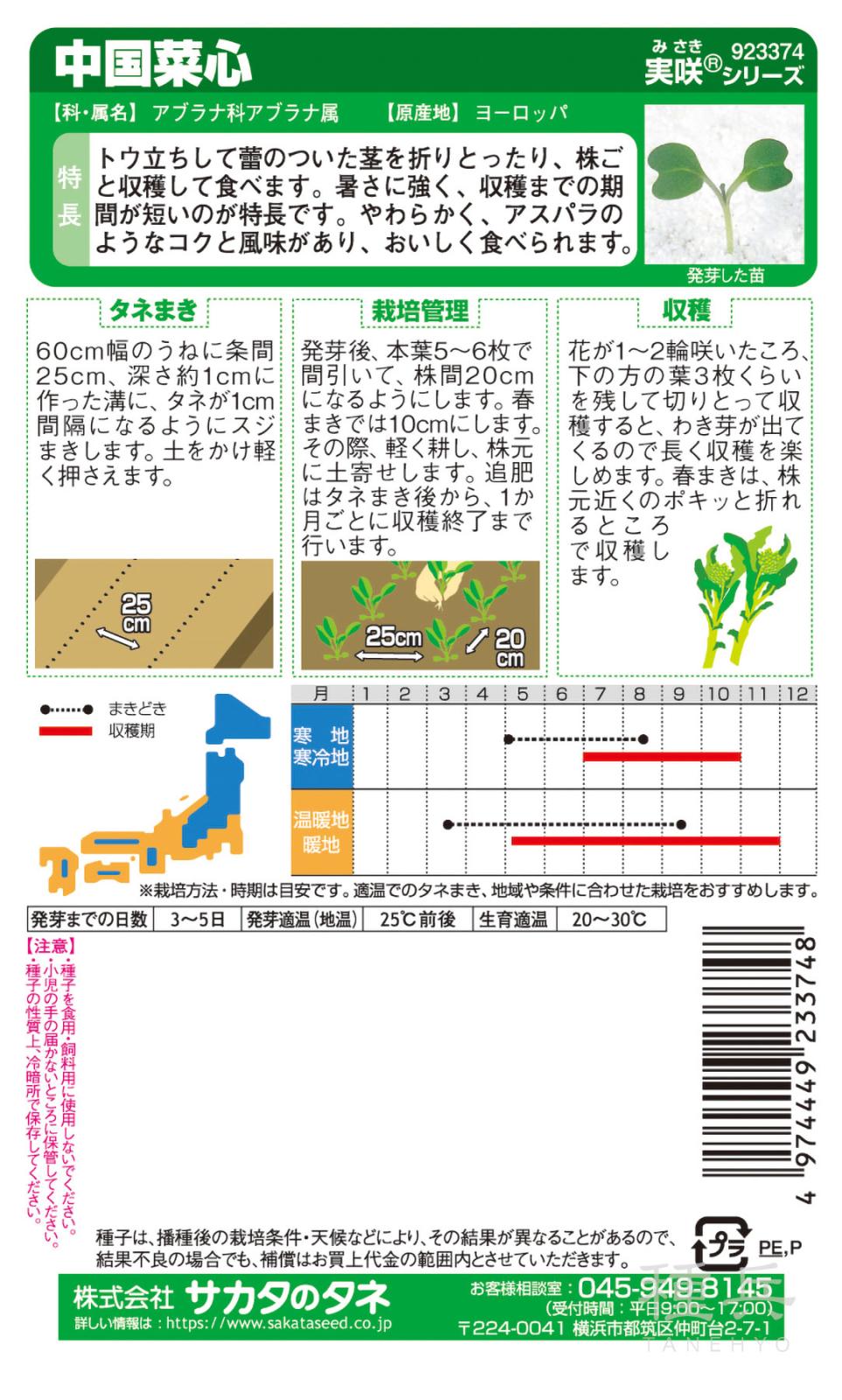 サイシン 種 『中国菜心』 サカタのタネ | たね,葉菜の種,その他の