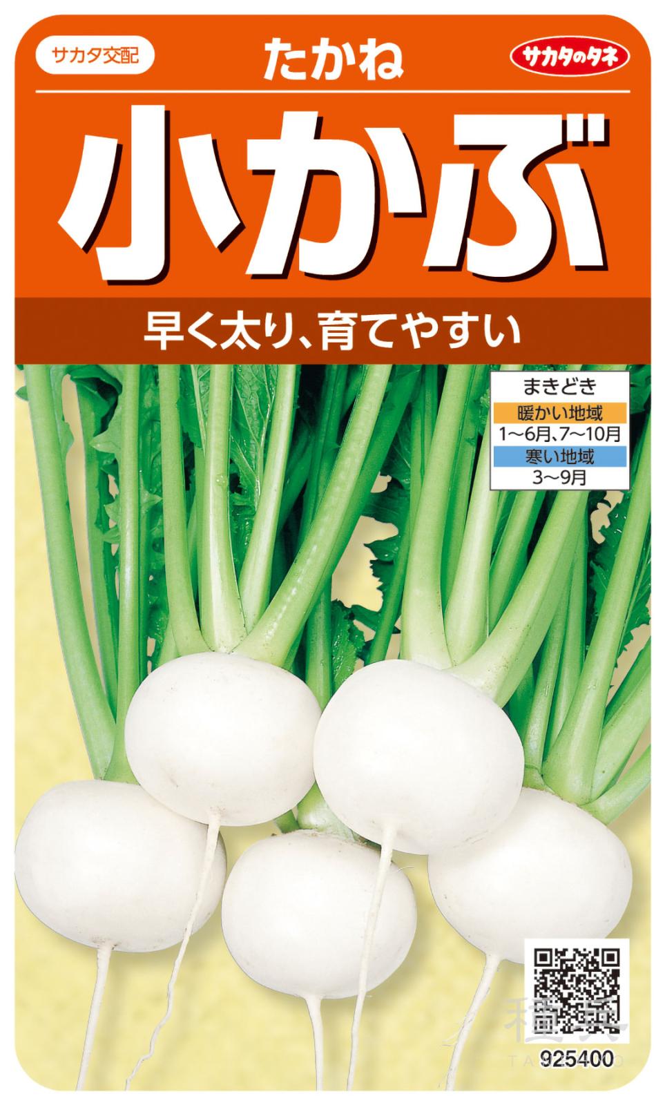小カブ 種 『たかね』  サカタのタネ