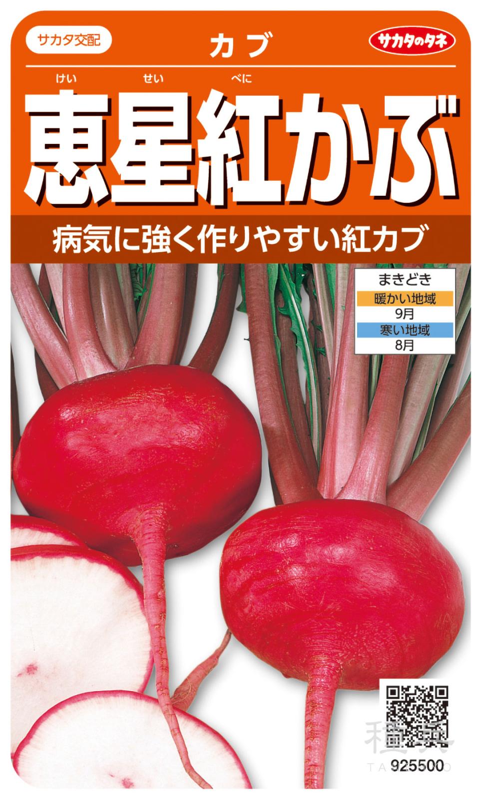中カブ 種 『恵星紅』  サカタのタネ