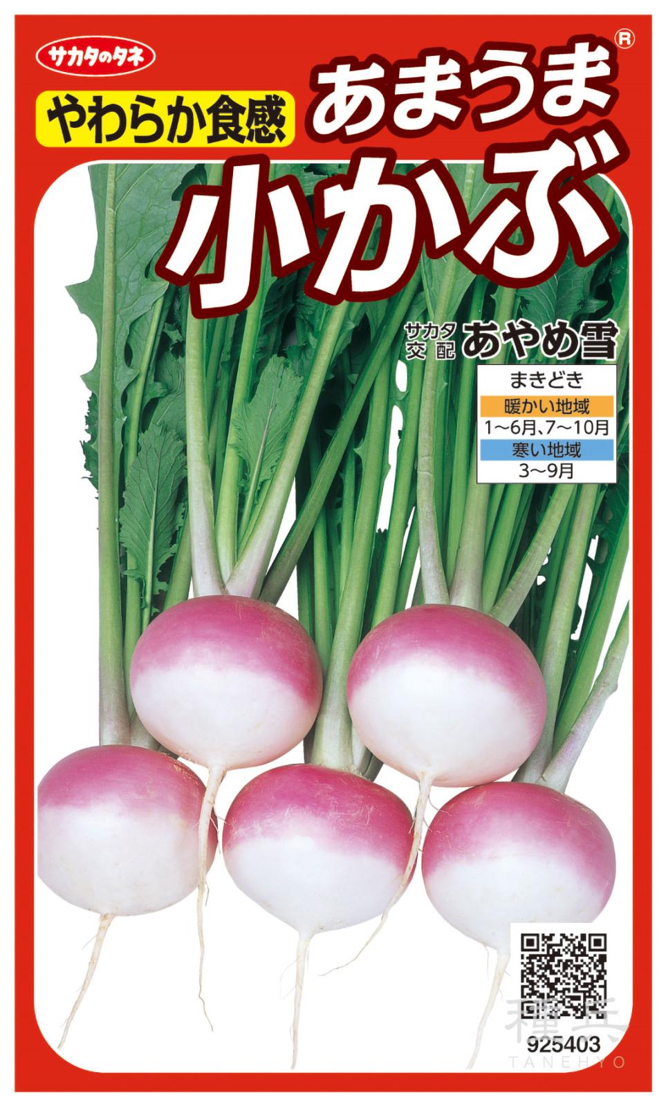 小カブ 種 『あやめ雪』  サカタのタネ