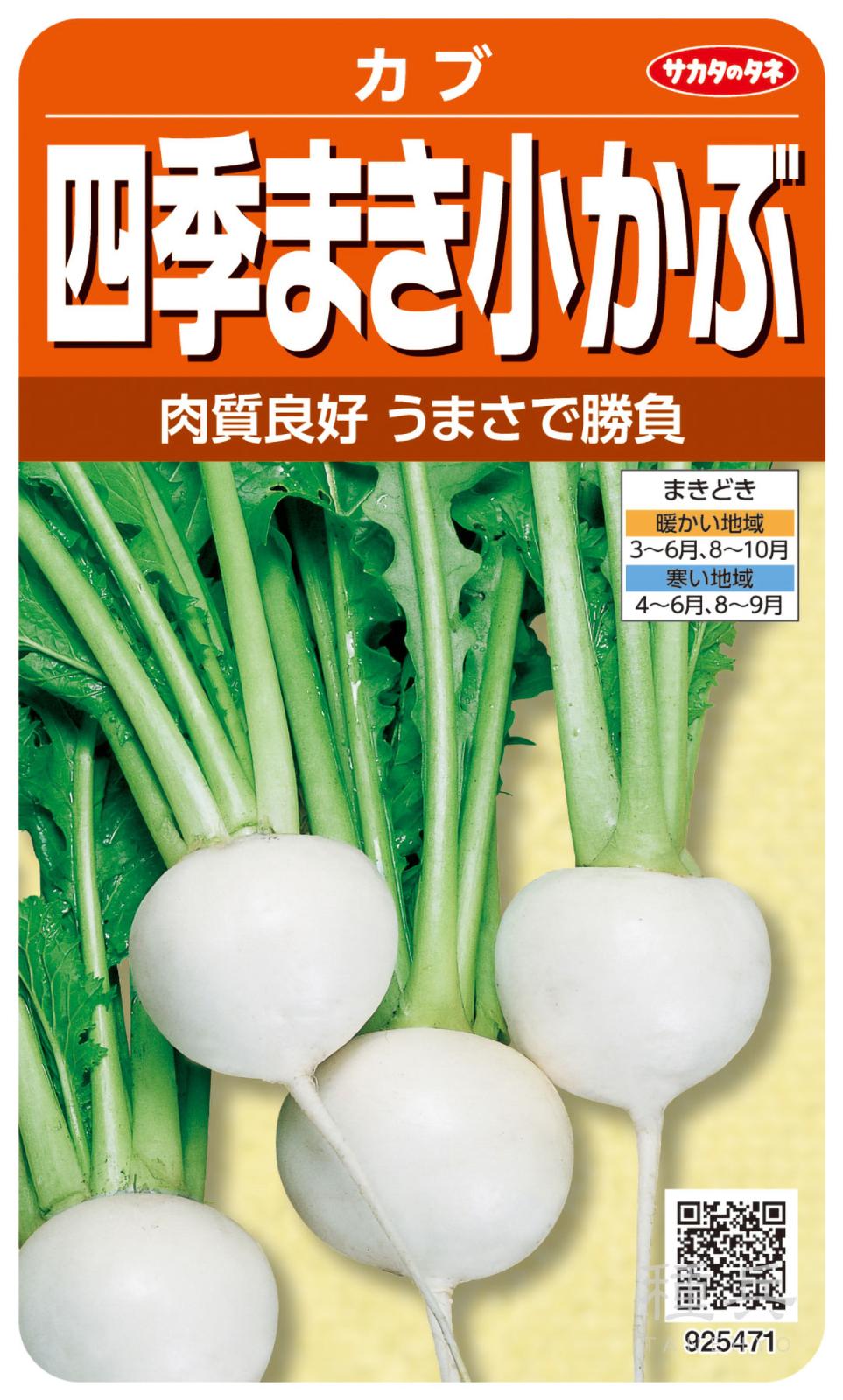 小カブ 種 『四季まき小かぶ』  サカタのタネ