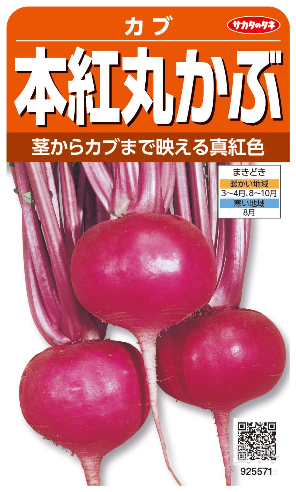 色カブ 種 『本紅丸かぶ』  サカタのタネ