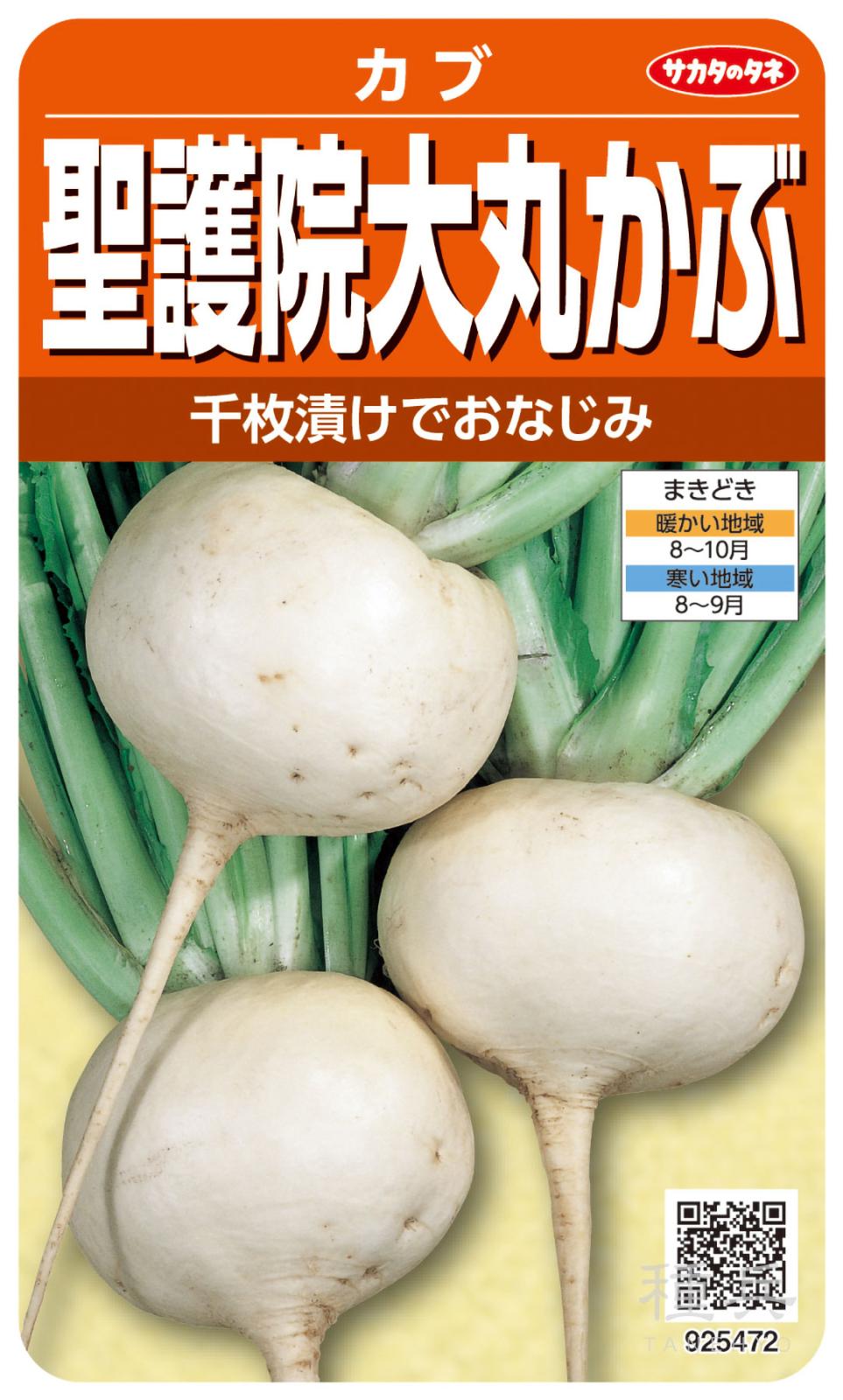 大カブ 種 『聖護院大丸かぶ』  サカタのタネ