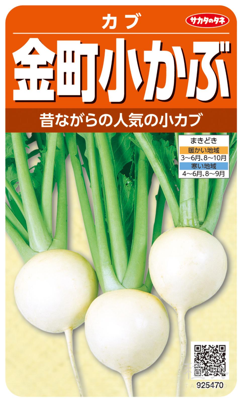 小カブ 種 『金町小かぶ』  サカタのタネ