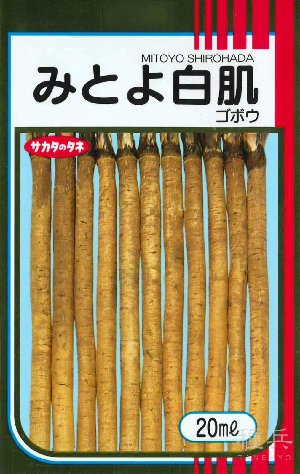 ゴボウ 種 『みとよ白肌』  サカタのタネ