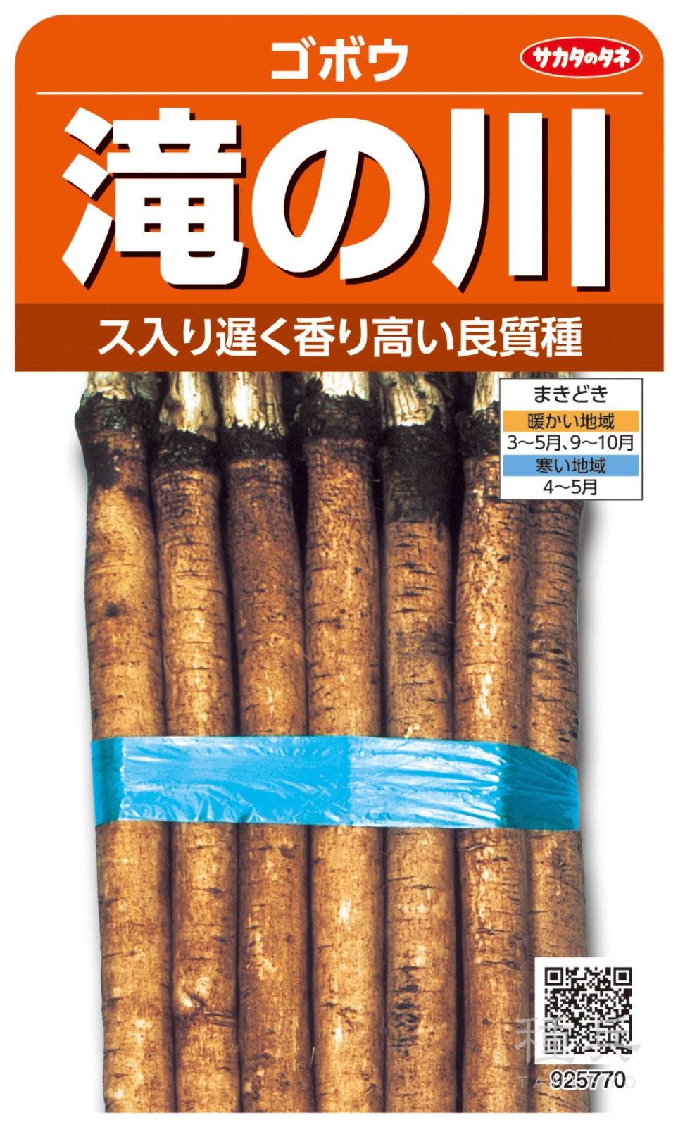 ゴボウ 種 『滝の川』  サカタのタネ