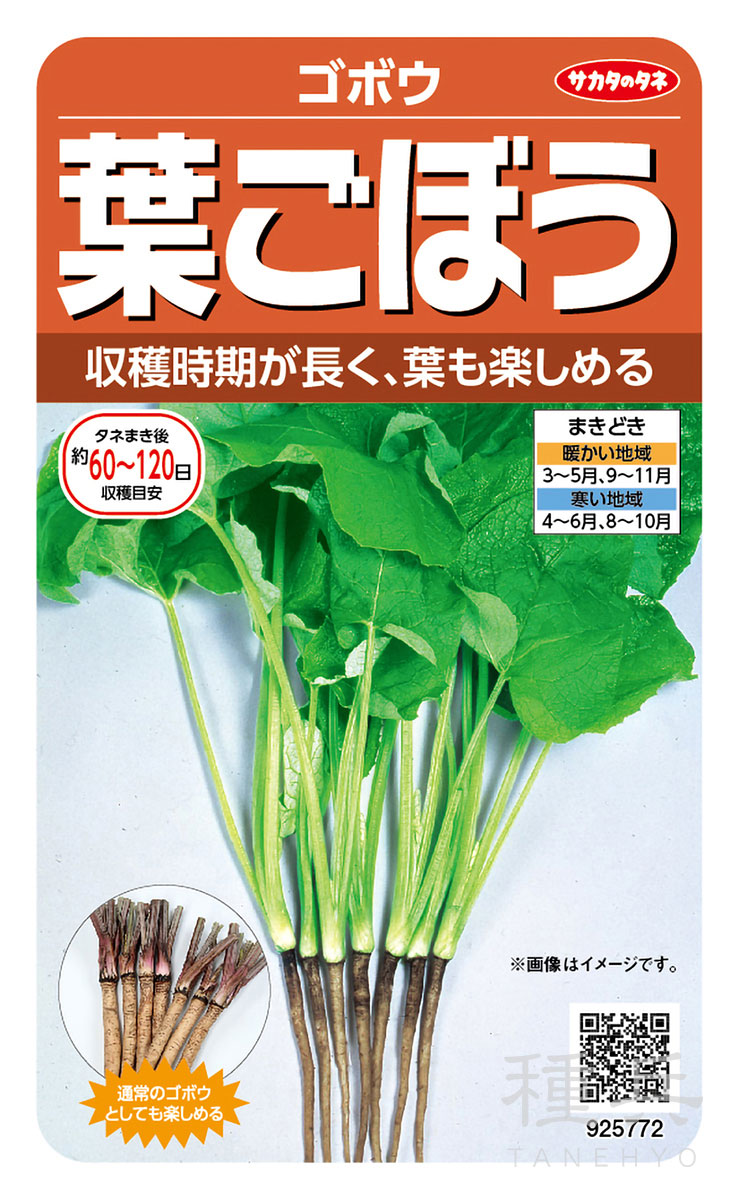 ゴボウ 種 『葉ごぼう』  サカタのタネ