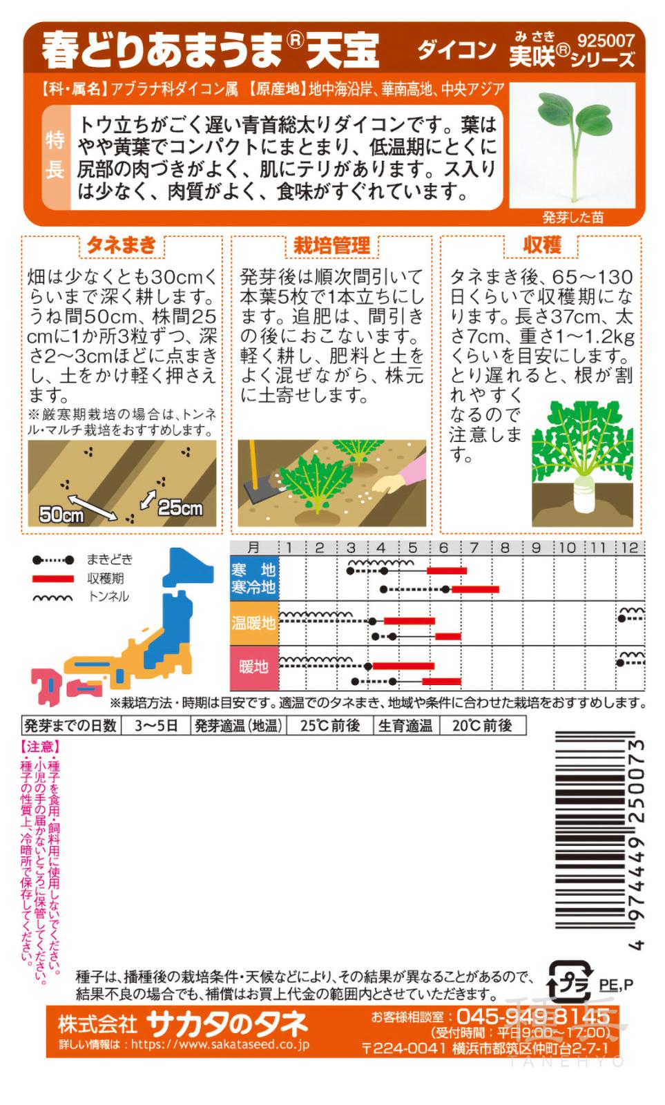 青首ダイコン 種 『天宝』 サカタのタネ | たね,根菜の種,ダイコン