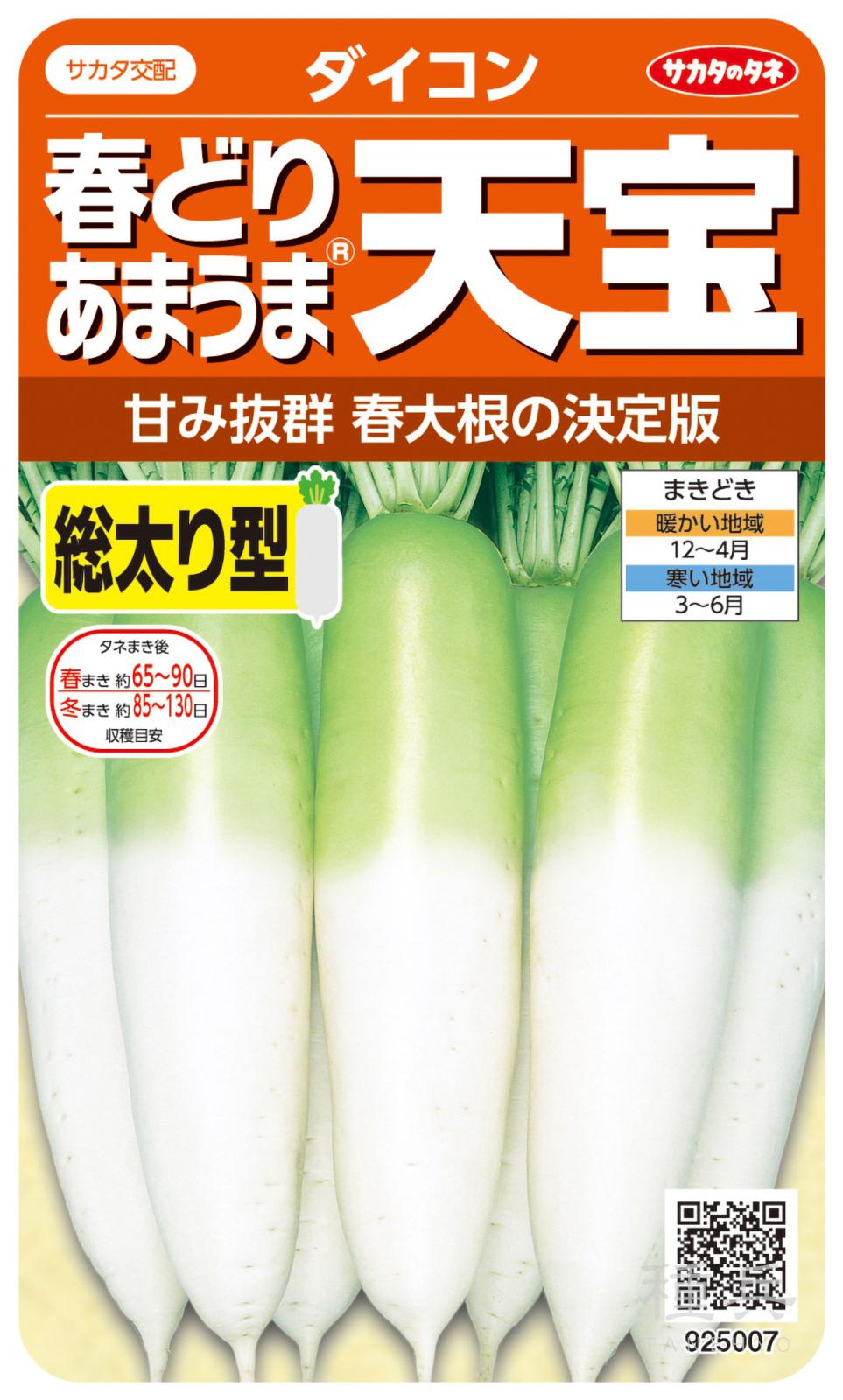 青首ダイコン 種 『天宝』 サカタのタネ | たね,根菜の種,ダイコン