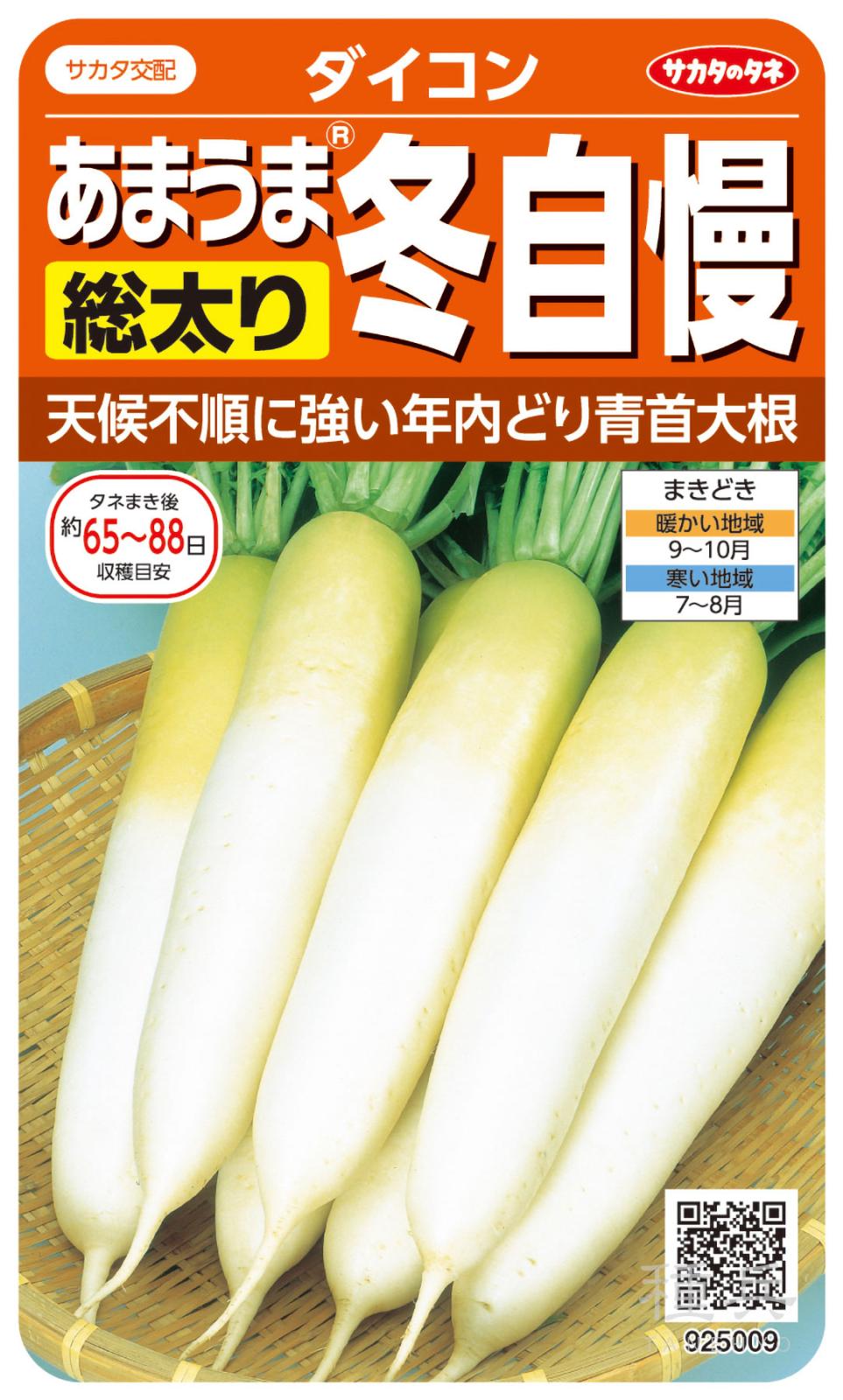 レンコンタネ ダイコン 種 『冬自慢』 サカタのタネ | たね,根菜の種,ダイコン