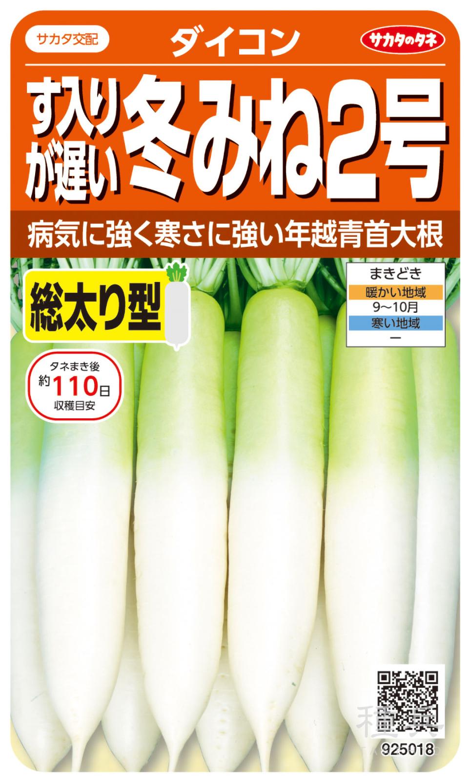 ダイコン 種 『冬みね2号』  サカタのタネ