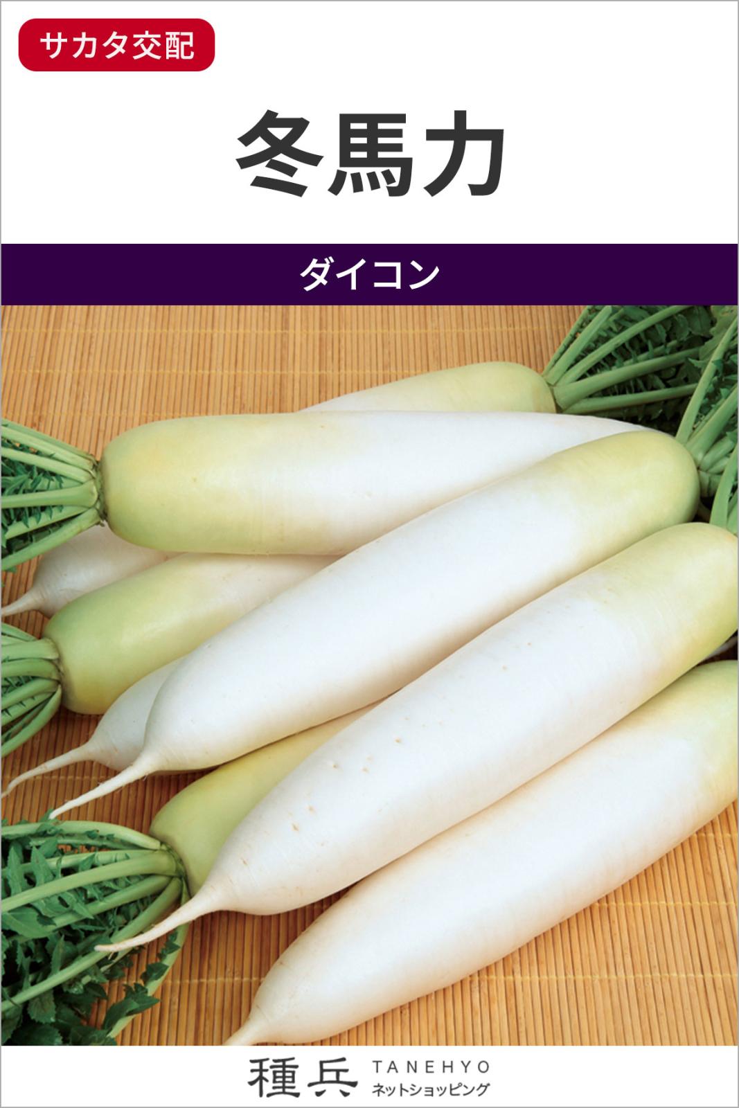 青首ダイコン 種 『冬馬力』  サカタのタネ