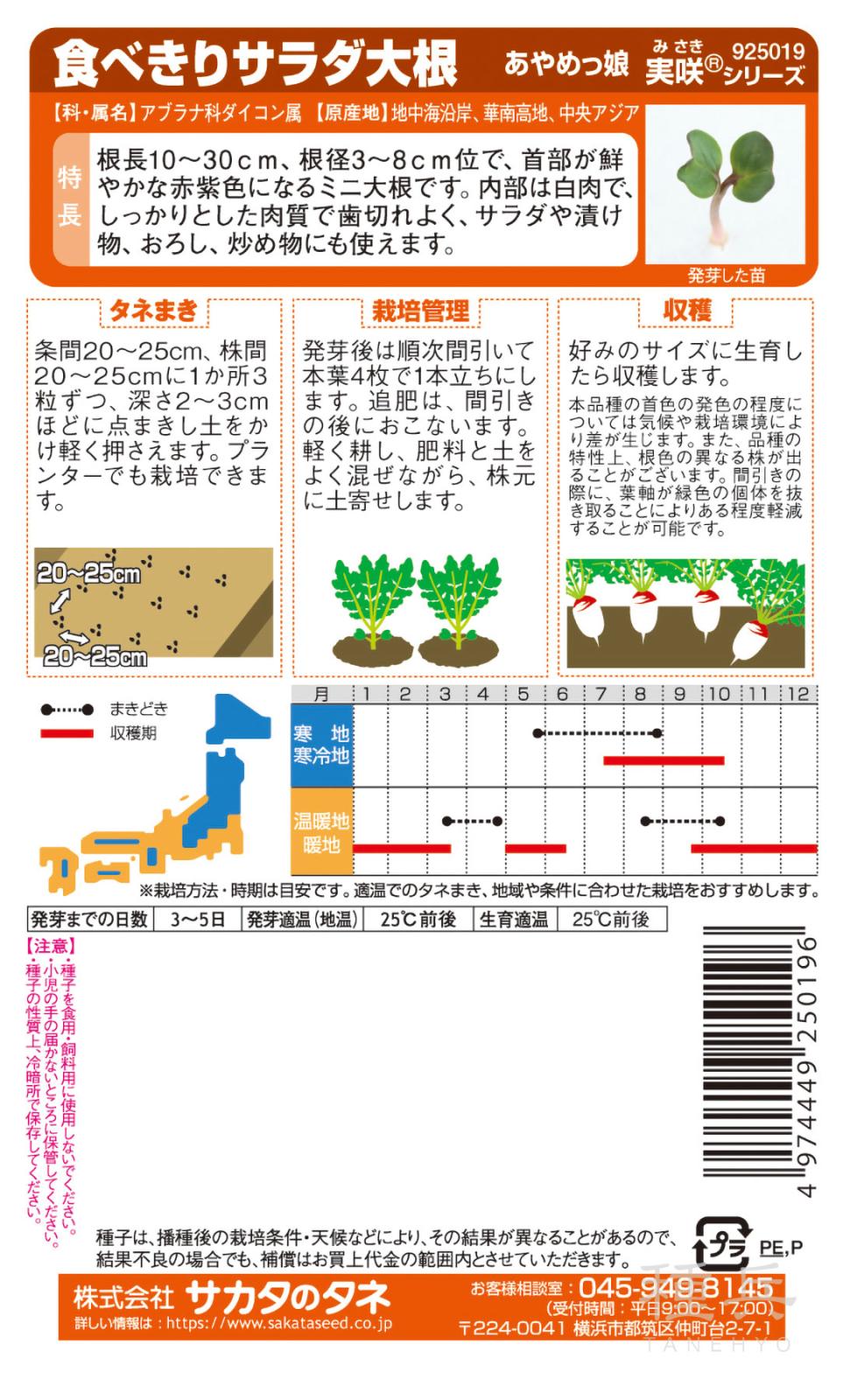 色ダイコン 種 『あやめっ娘』 サカタのタネ | たね,根菜の種,ダイコン