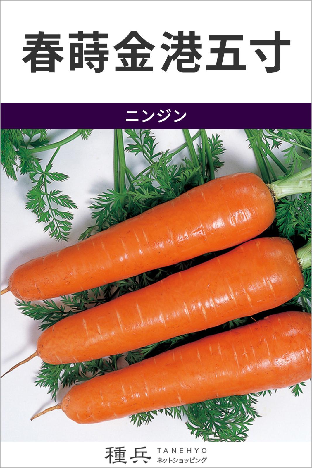 ニンジン 種 『春蒔金港五寸』  サカタのタネ