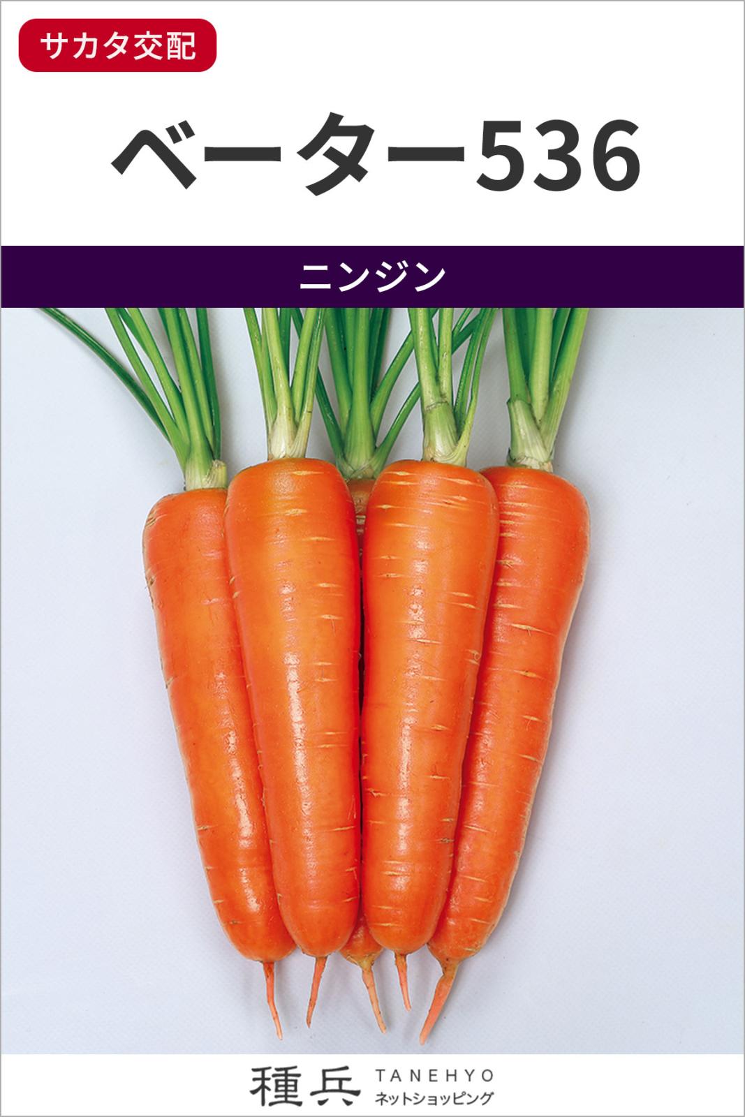 ニンジン 種 『ベーター536』  サカタのタネ