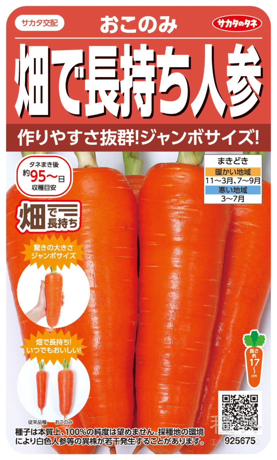 ニンジン 種 『おこのみ』  サカタのタネ