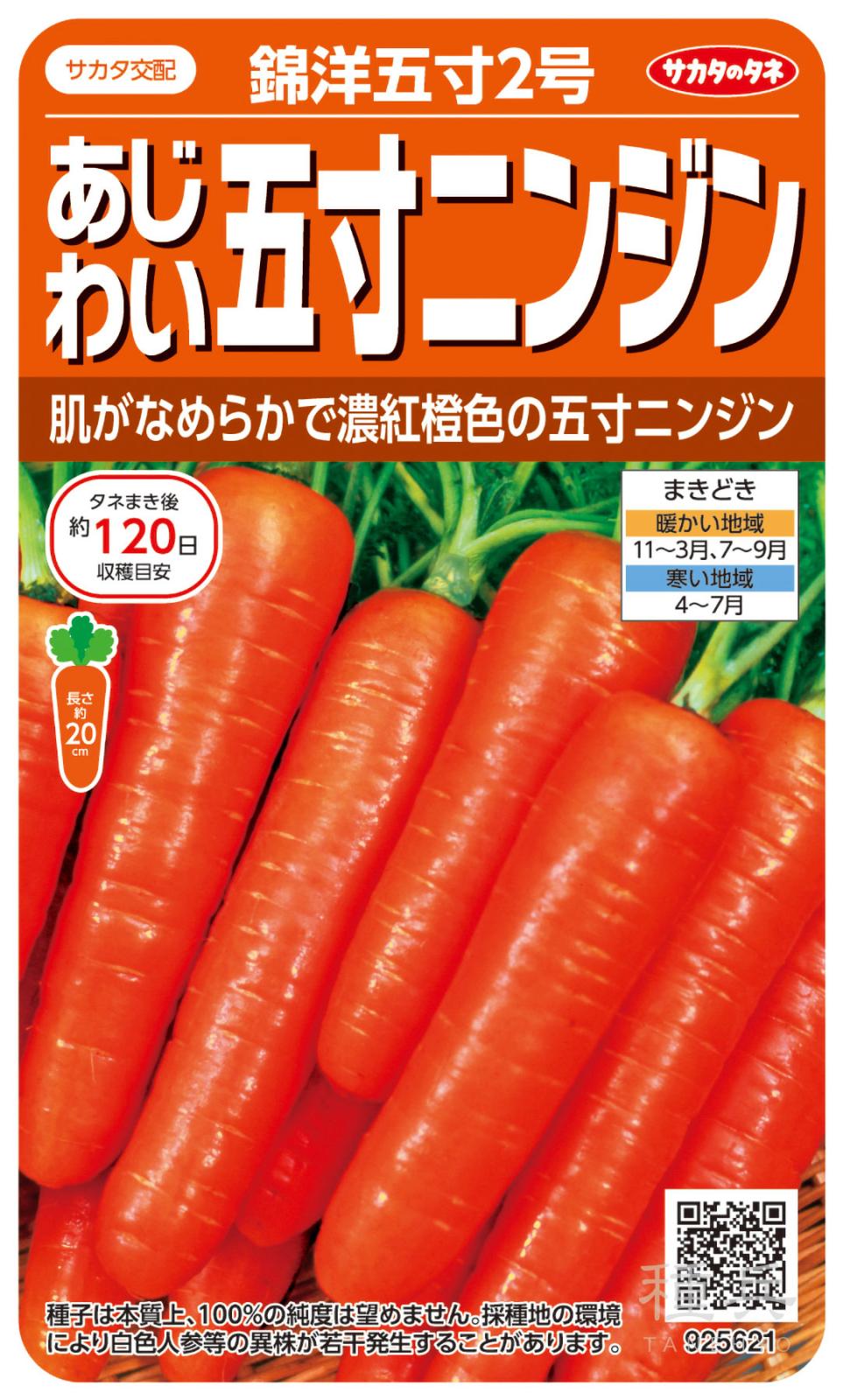 ニンジン 種 『錦洋五寸2号』  サカタのタネ