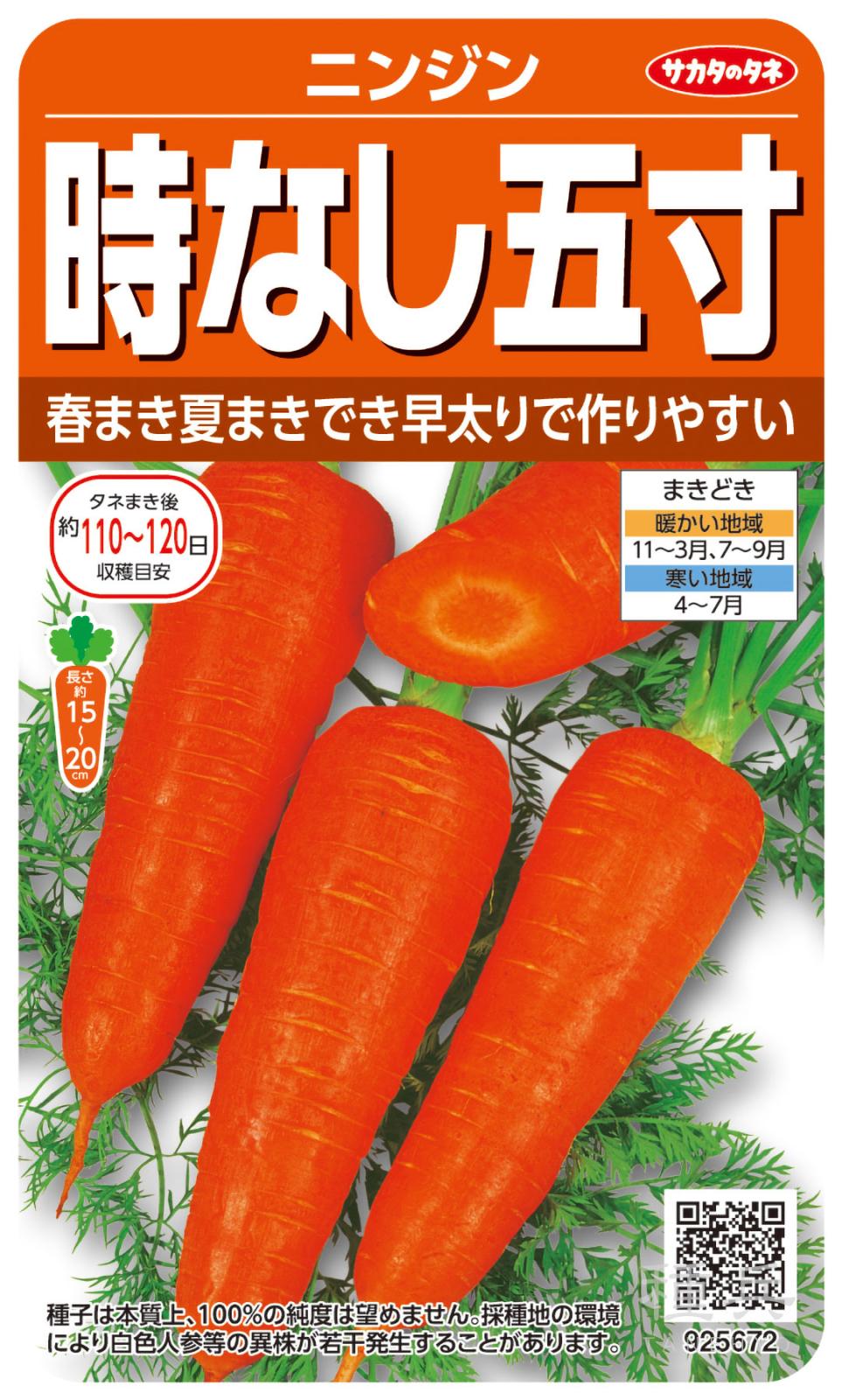 ニンジン 種 『時なし五寸』 サカタのタネ | たね,根菜の種,ニンジン