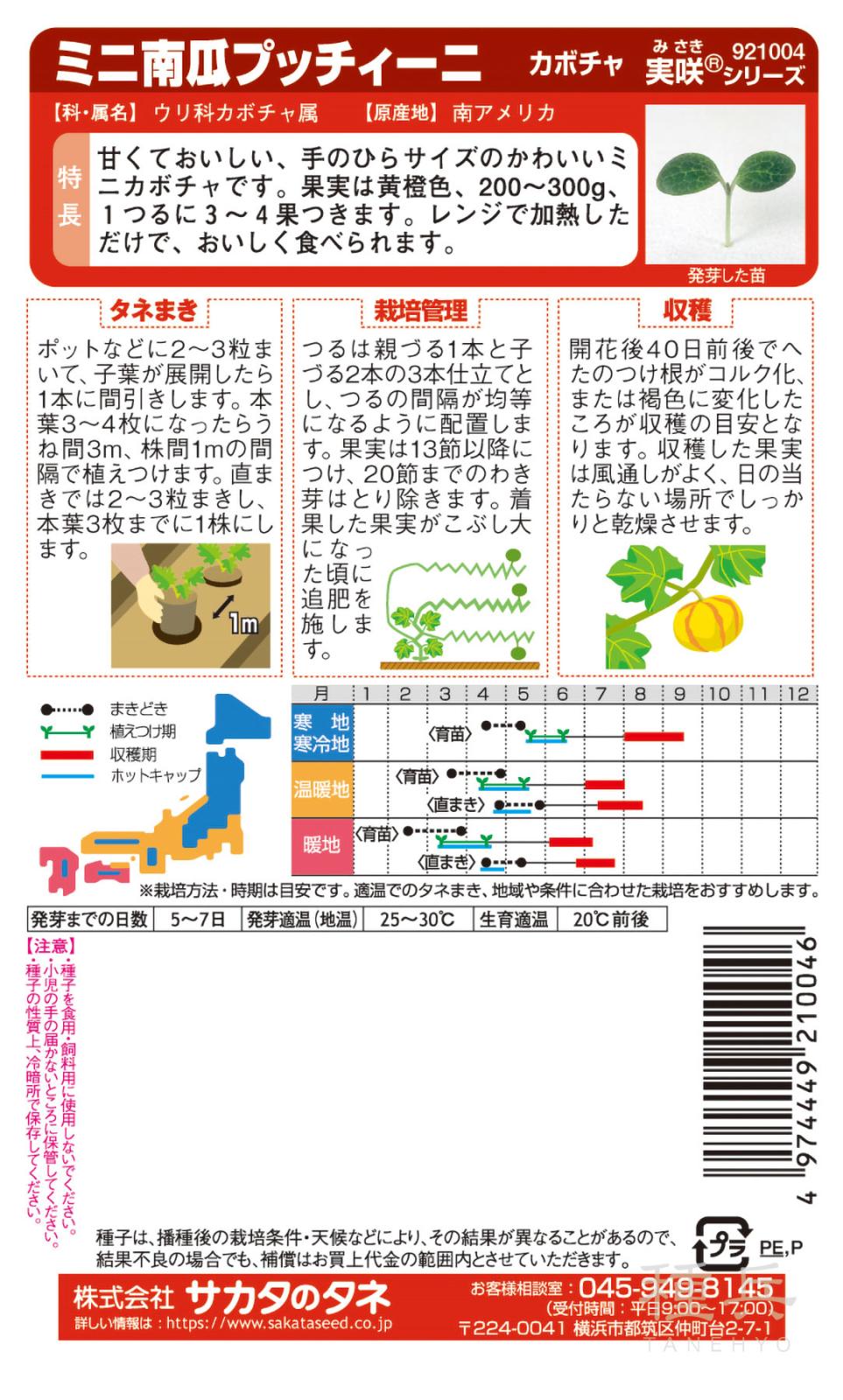 カボチャ 種 『プッチィーニ』  サカタのタネ